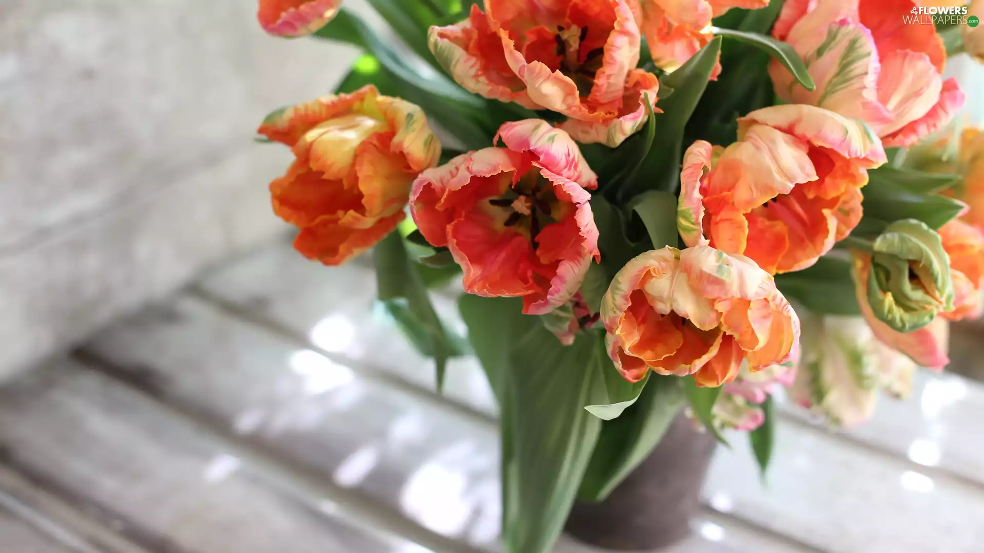 Vase, Tulips, bouquet