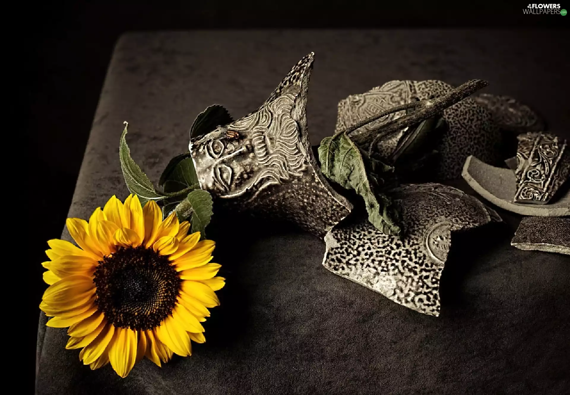 vase, Sunflower, bruised