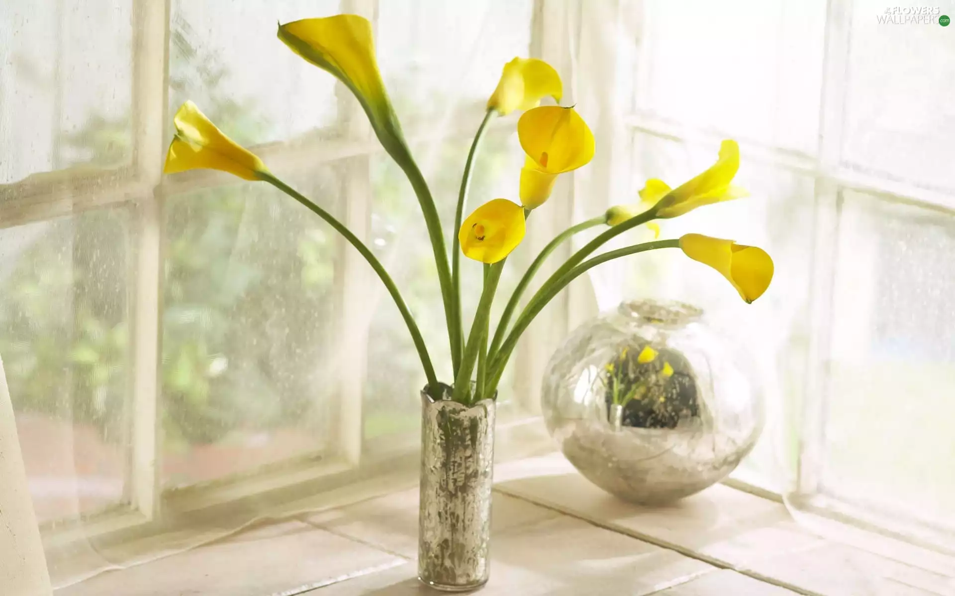 Vase, Yellow, Calla