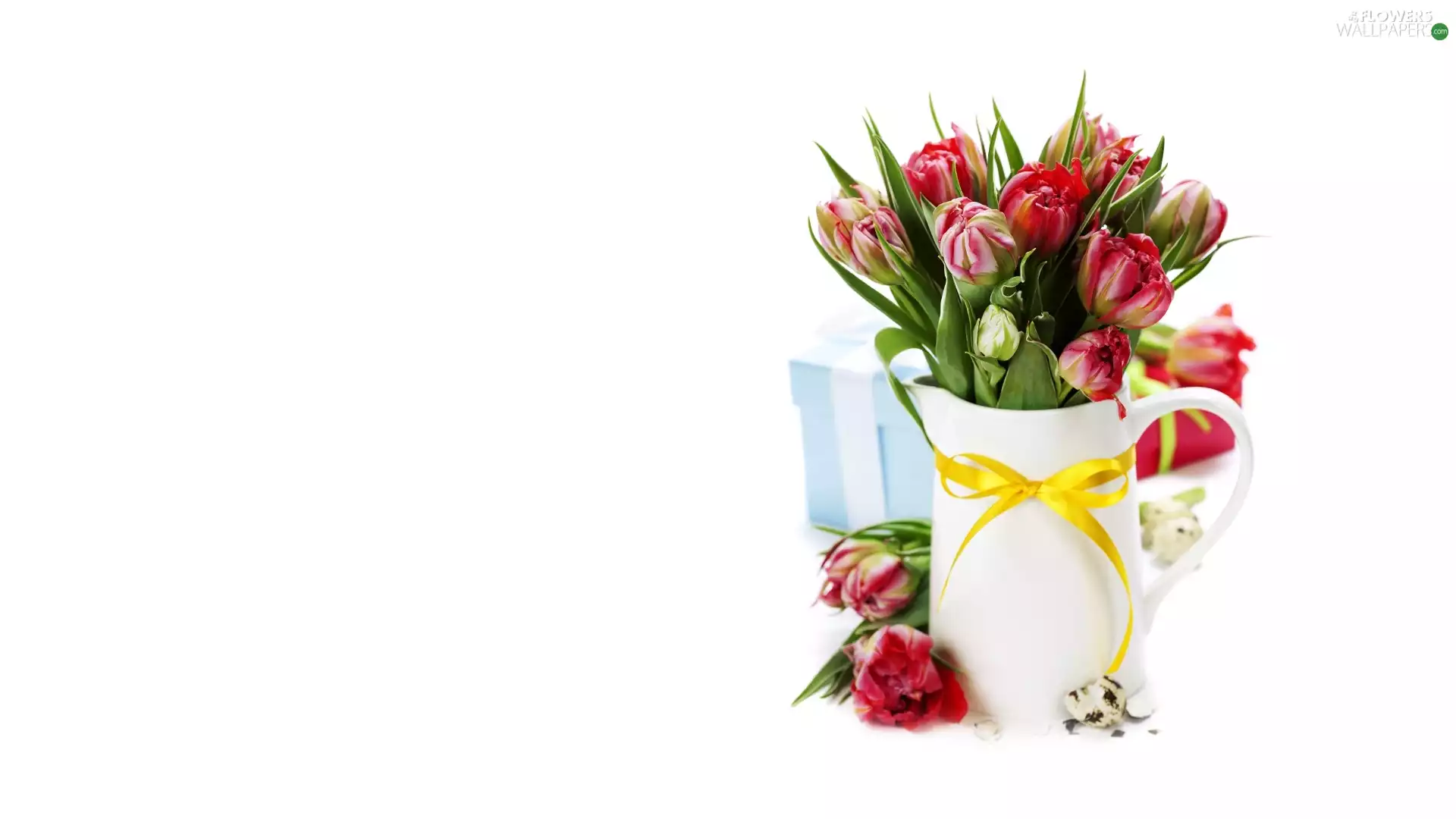 Vase, Tulips, cut