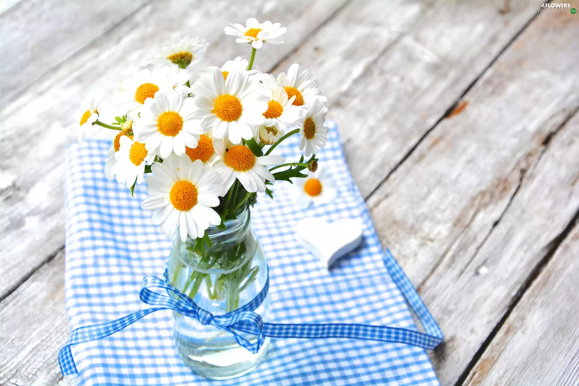 daisy, small bunch, vase