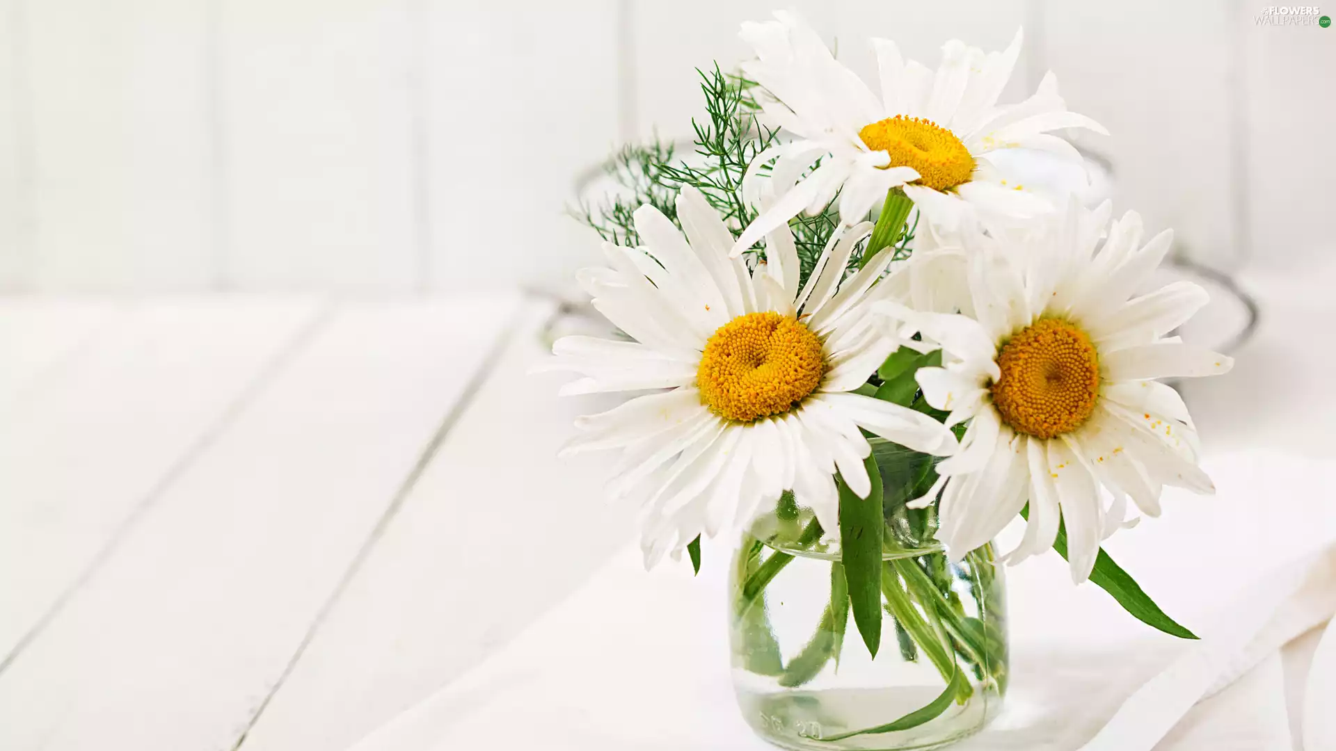 Flowers, daisy, napkin, Vase