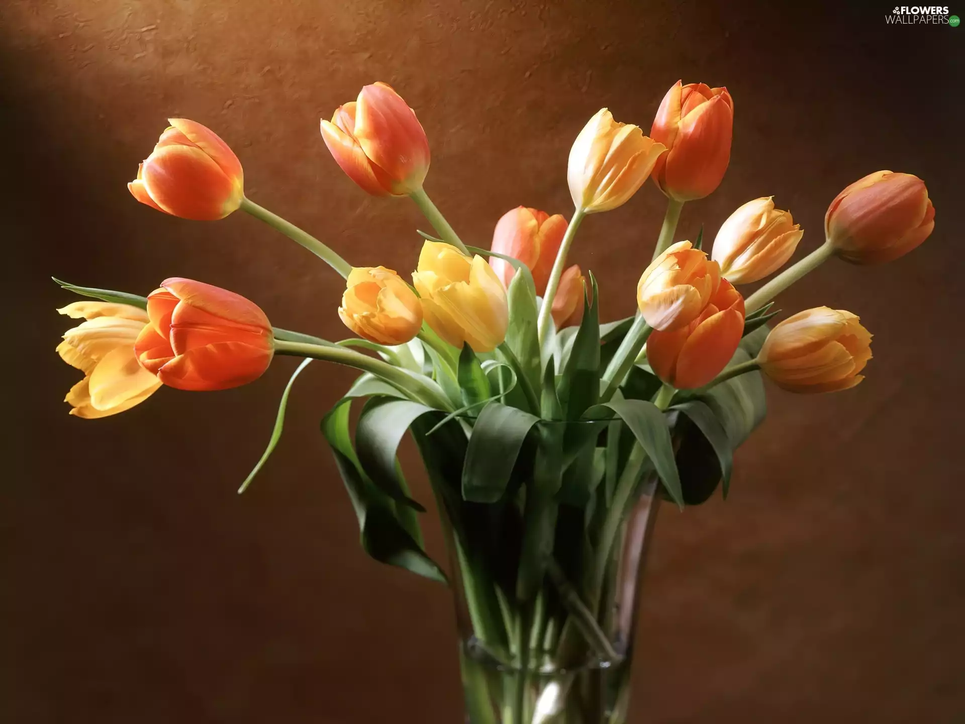 Vase, Tulips, glass