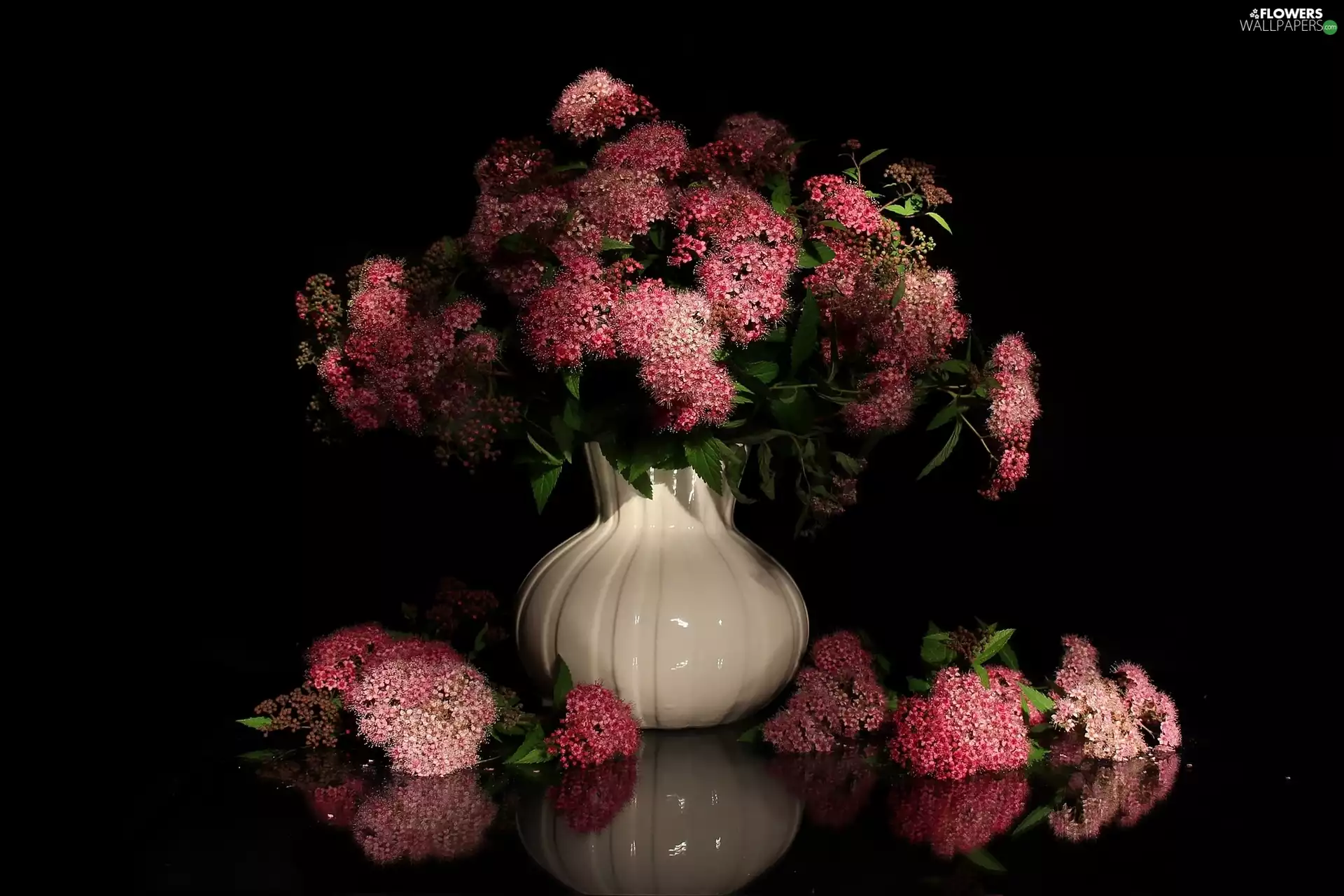 Flowers, Vase, Japanese Spirea, bouquet