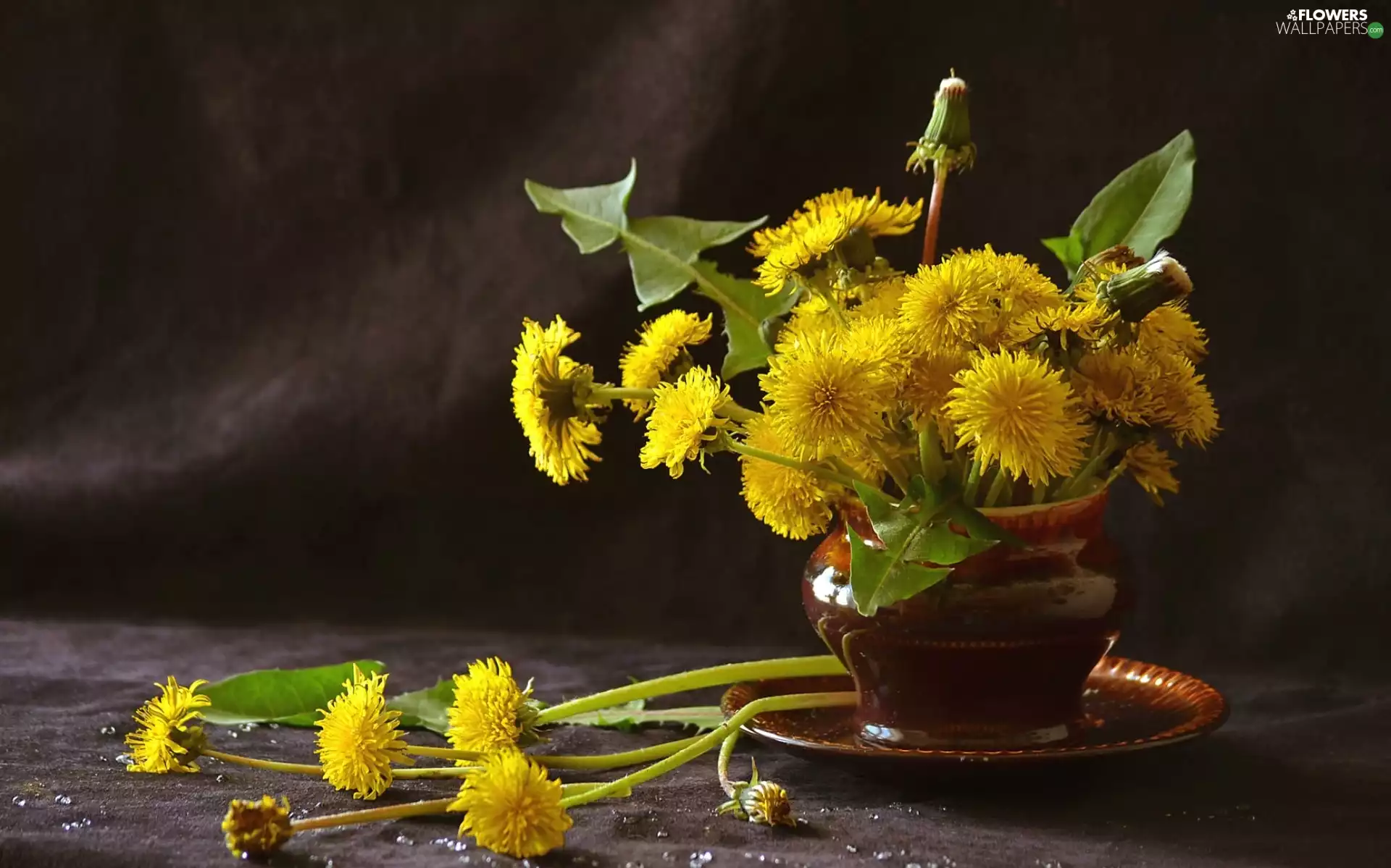 vase, puffball, medical