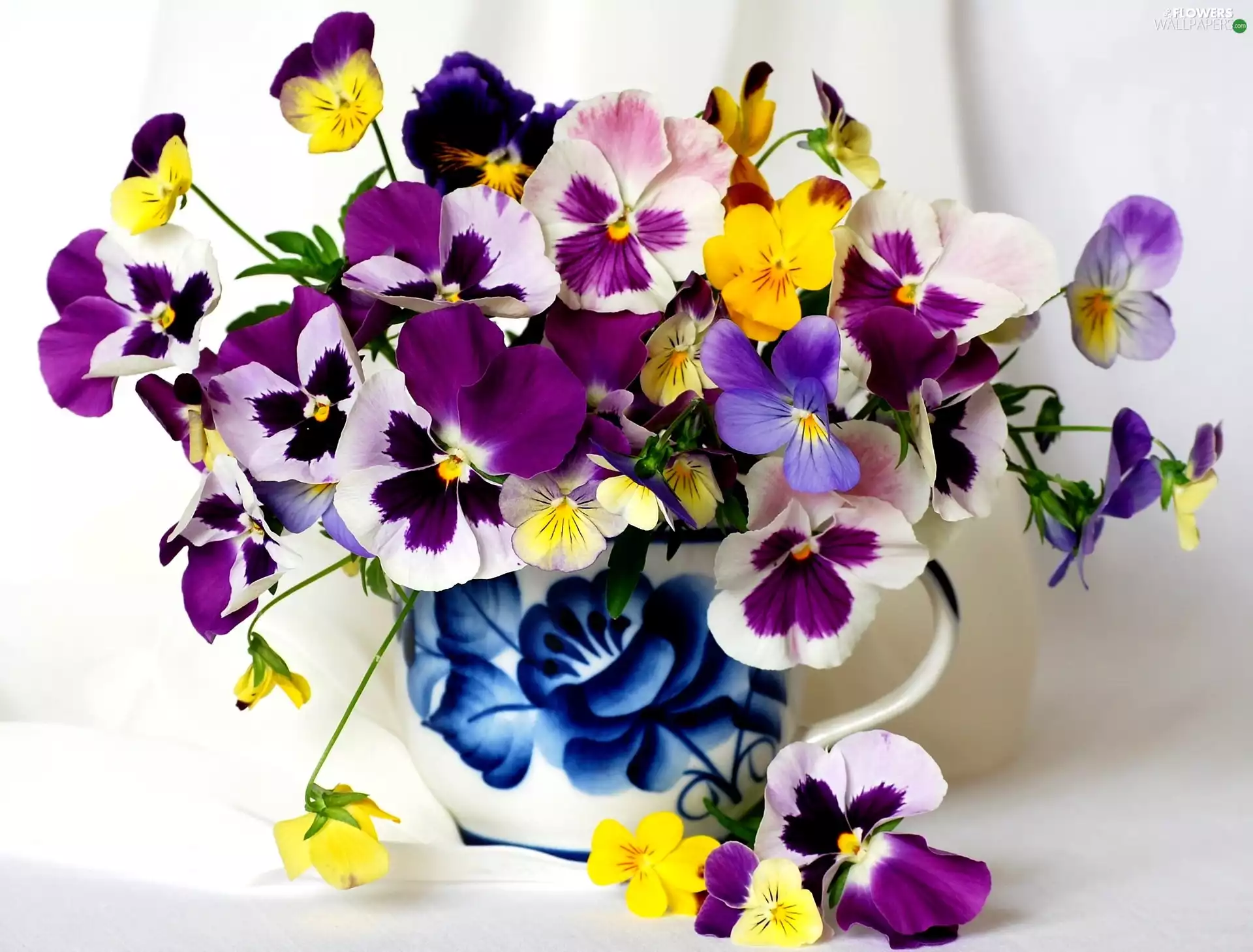 Vase, color, pansies