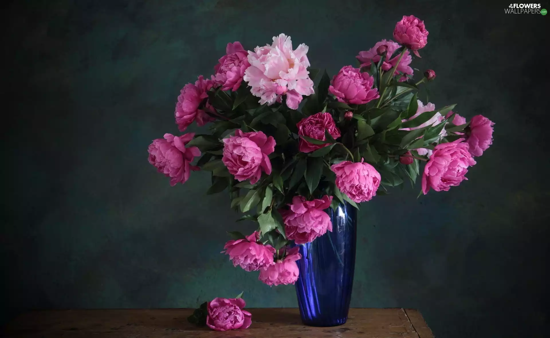 blue, Vase, Pink, Peonies, Flowers
