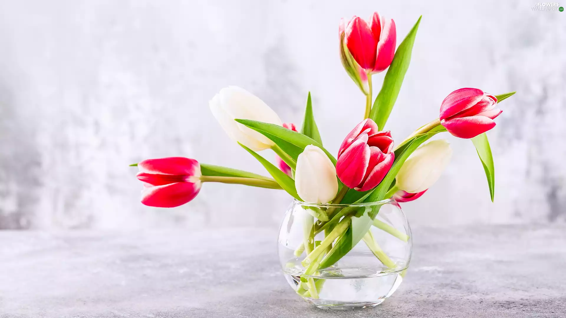 glass, Vase, Red, Tulips, White