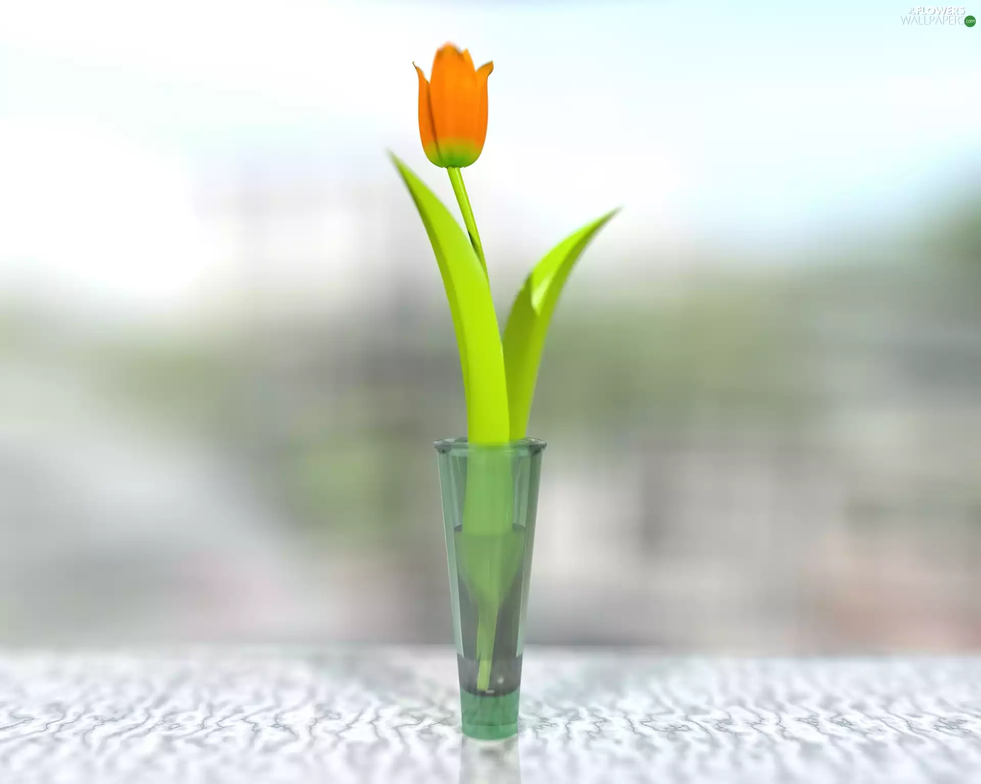 Vase, orange, tulip