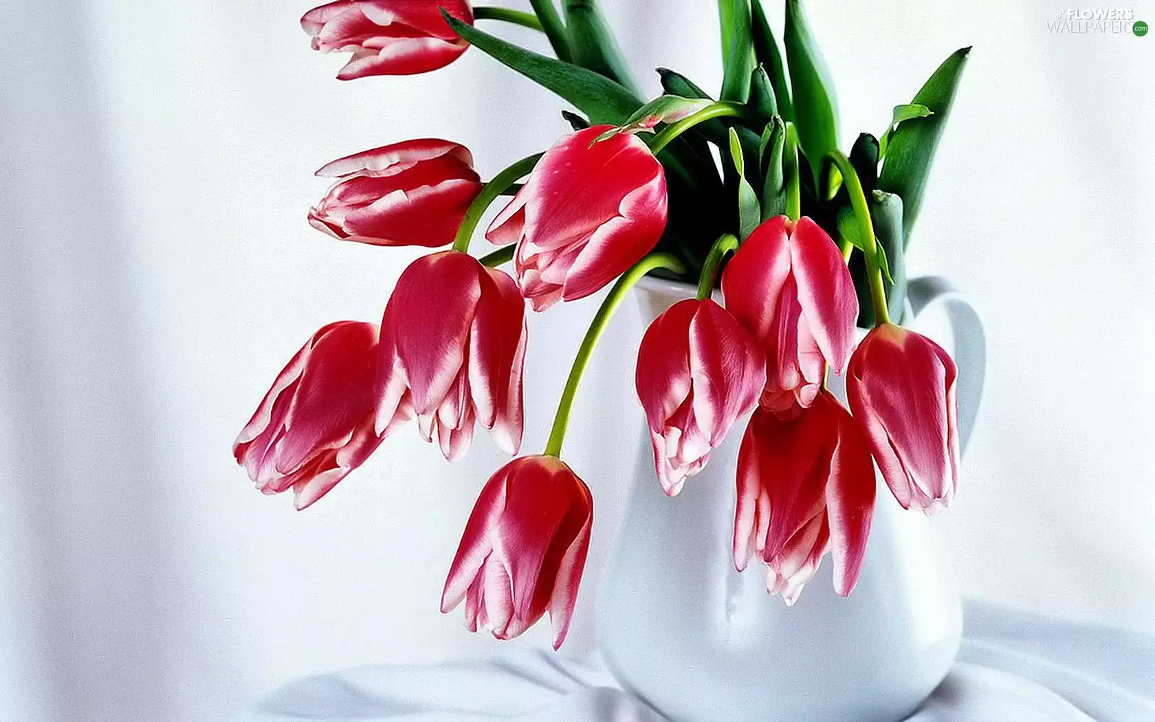 Vase, bouquet, tulips