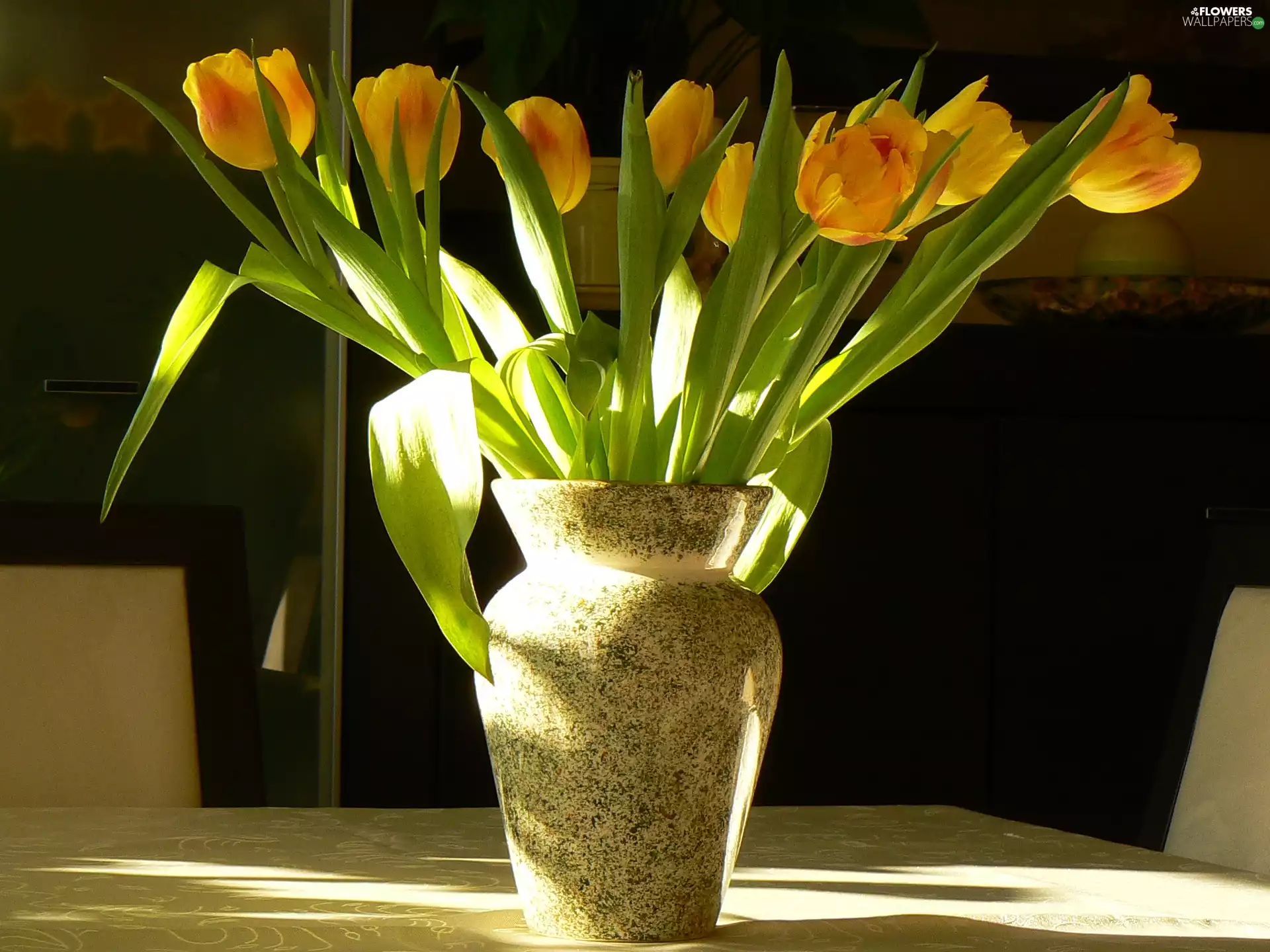 Vase, Yellow, Tulips