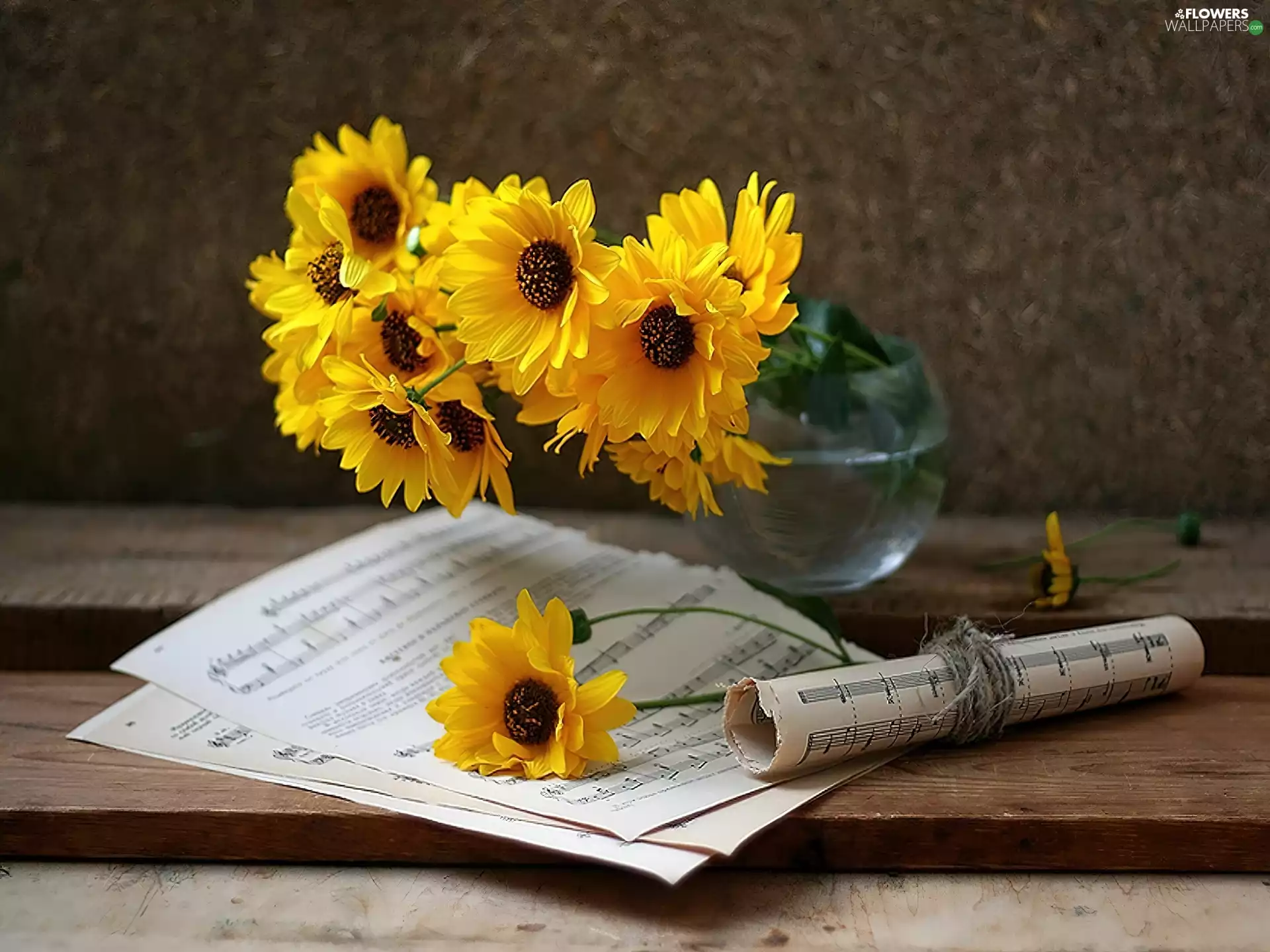 Tunes, Vase, yellow, flowers, bouquet