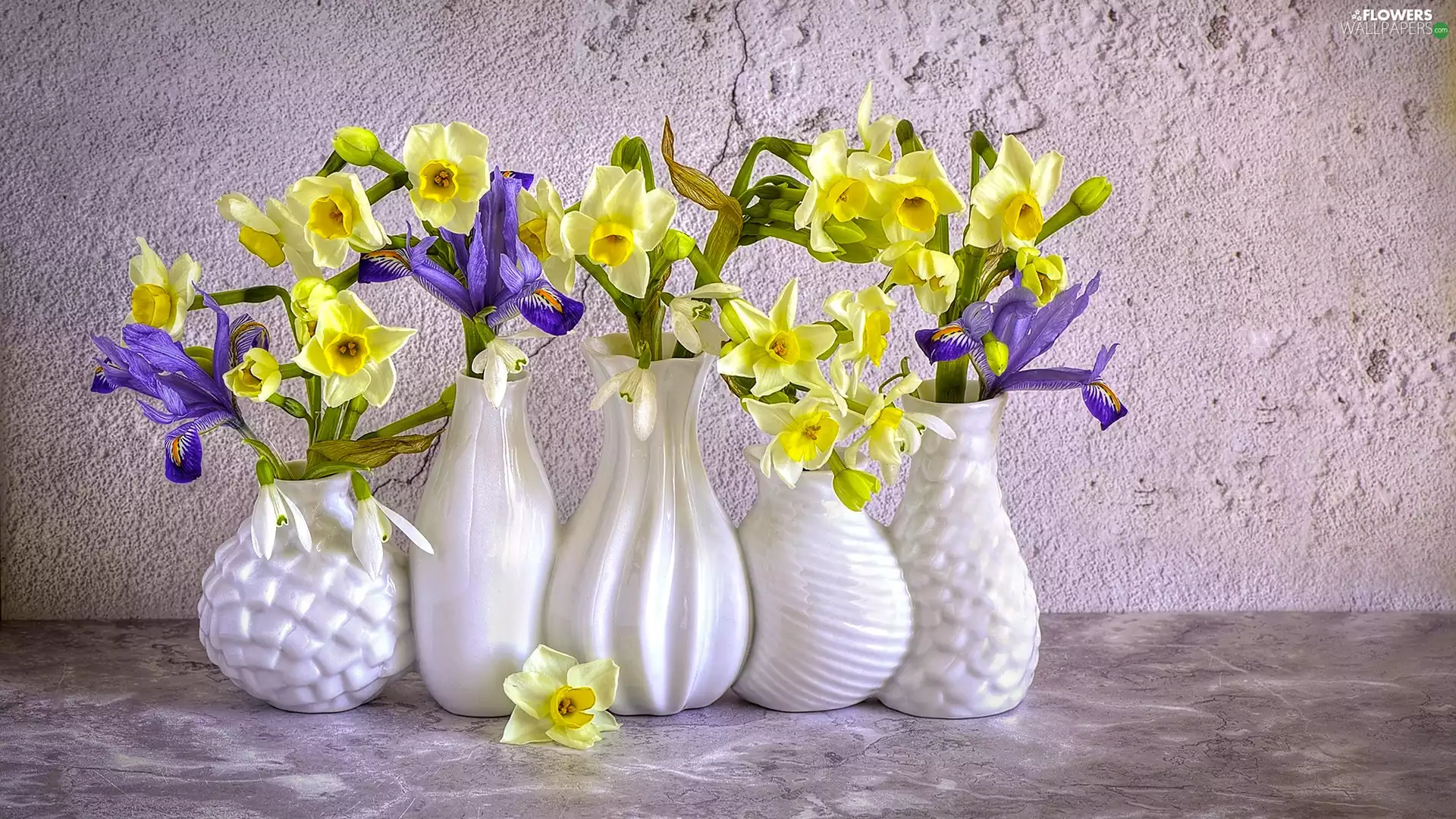 White, vases, Jonquil, Irises, Flowers