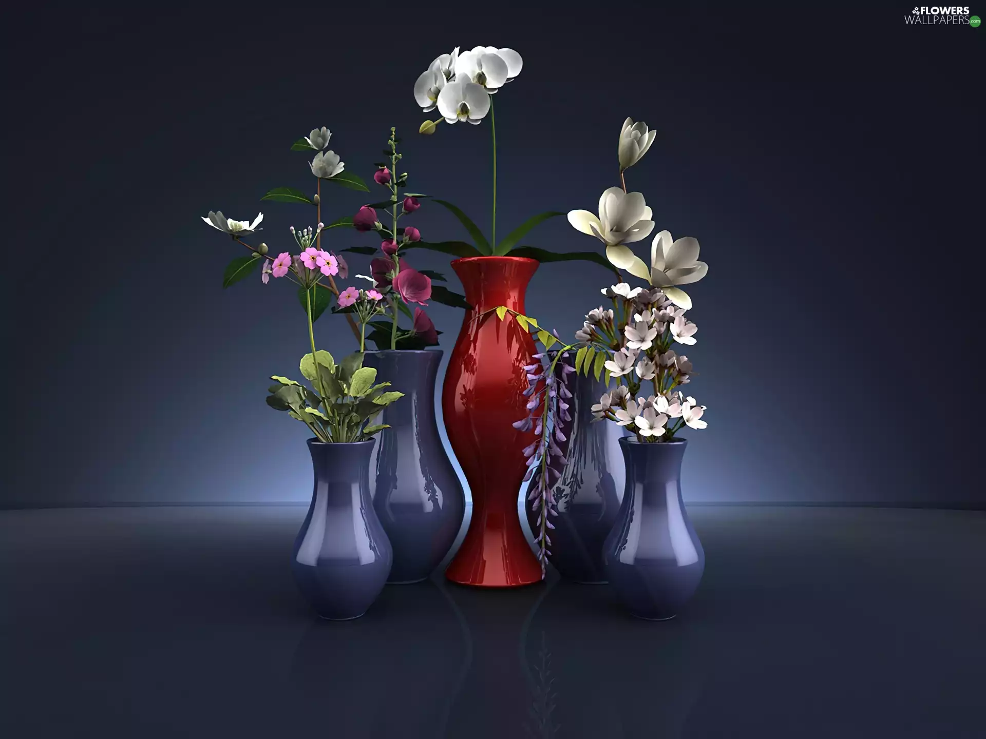 Blue, vases, Red, Vase, Flowers