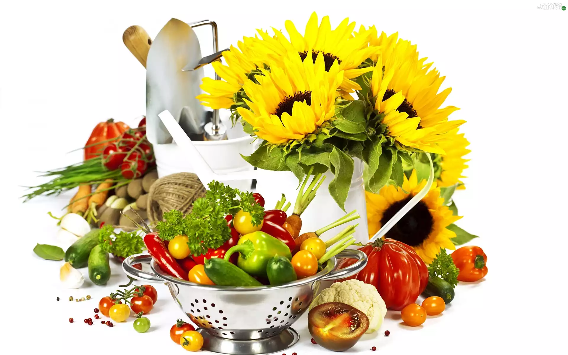 cucumbers, Nice sunflowers, pepper, composition, tomatoes, Bowl of Vegetables