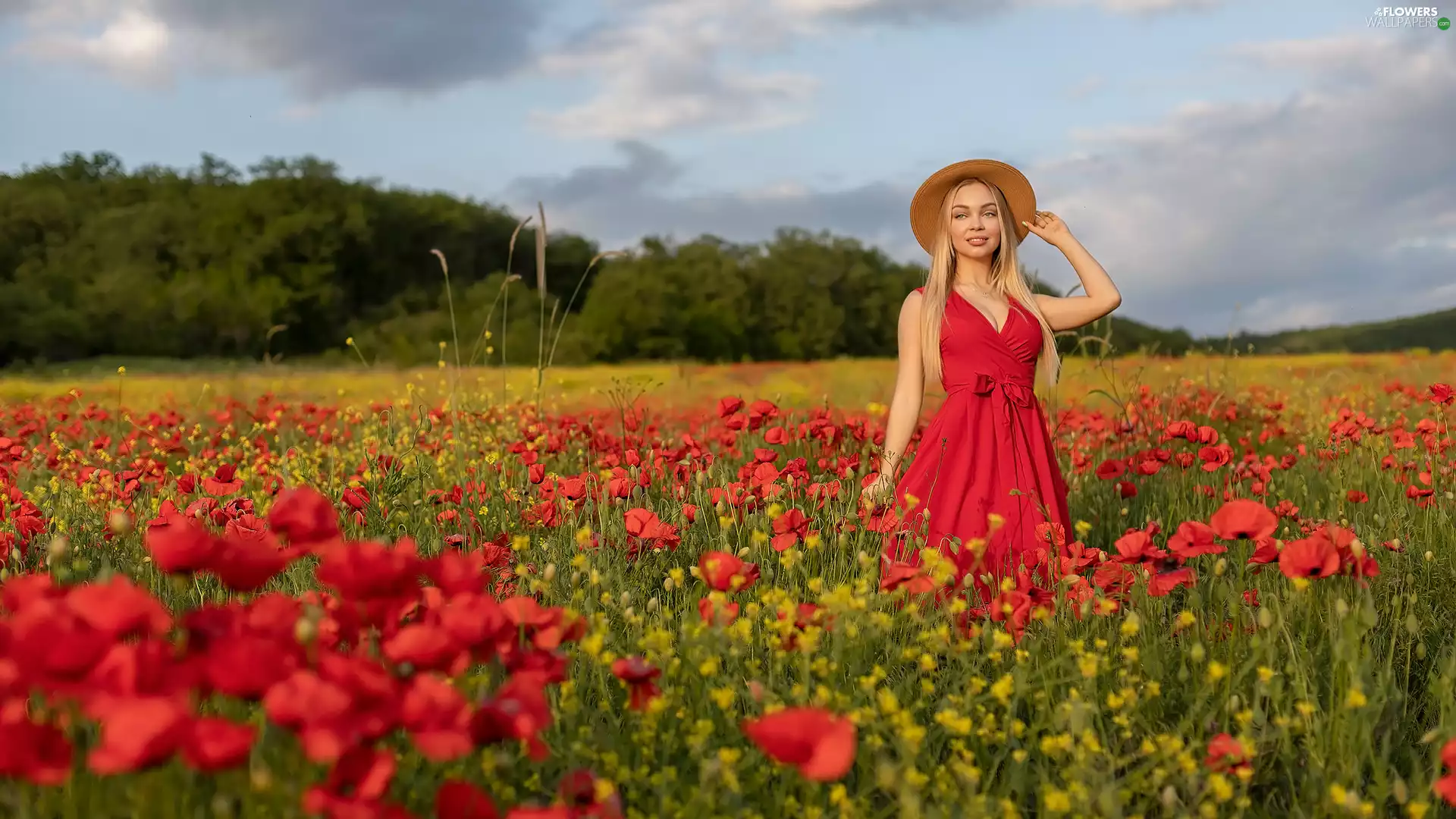 papavers, Women, trees, viewes, Field, Blonde