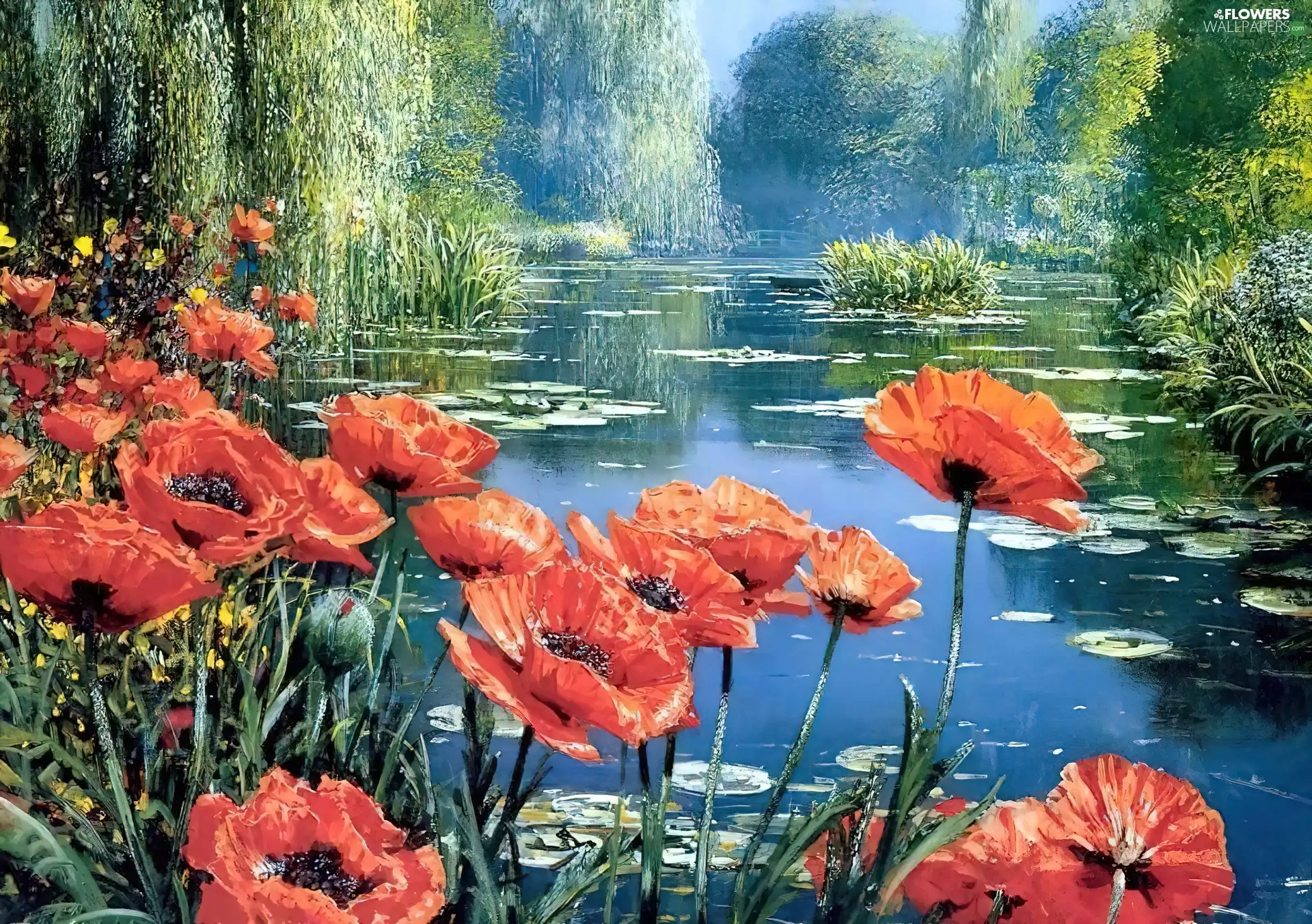 trees, viewes, papavers, River, picture