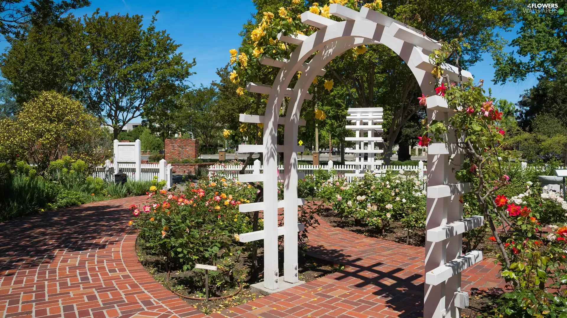 Flowers, roses, Paths, trees, Bush, Pergolas, Garden, viewes