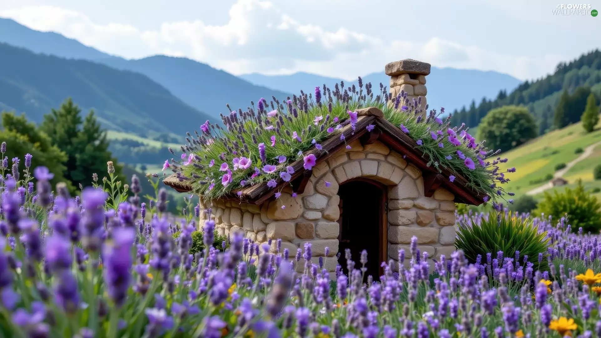 lavender, the roof, trees, Flowers, house, Mountains, viewes