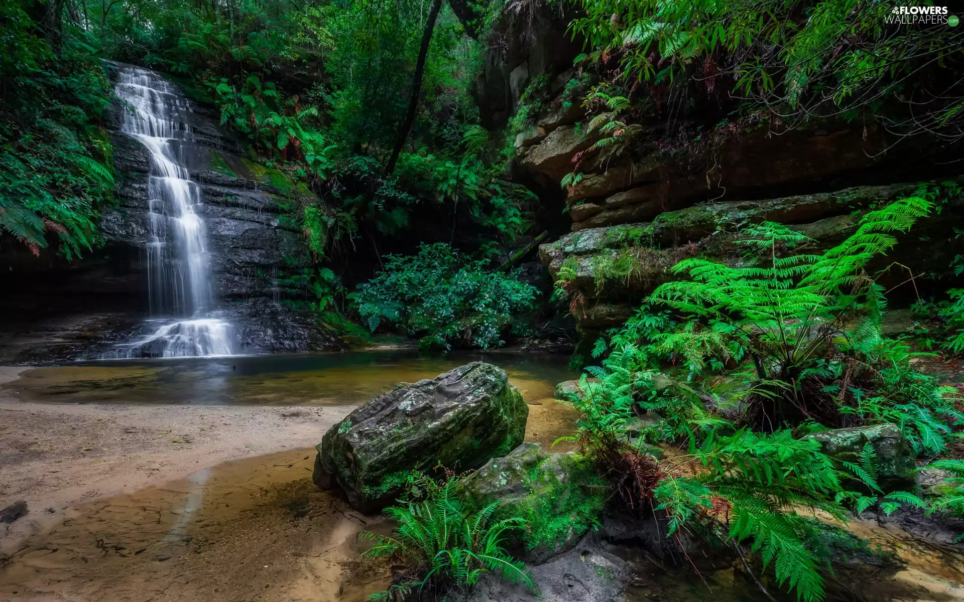 Rocks, waterfall, trees, viewes, fern, Stones