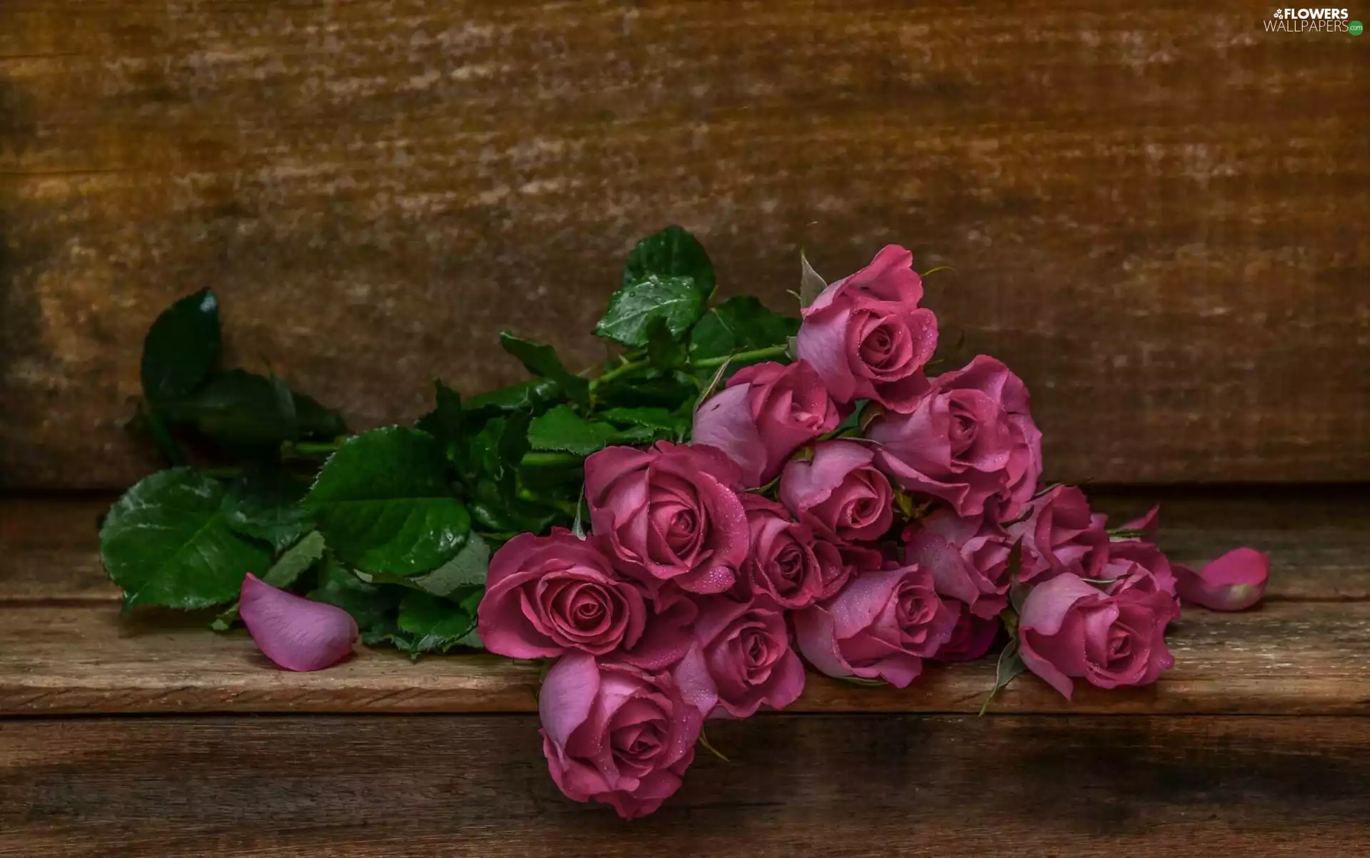 bouquet, rouge, Bench, violet