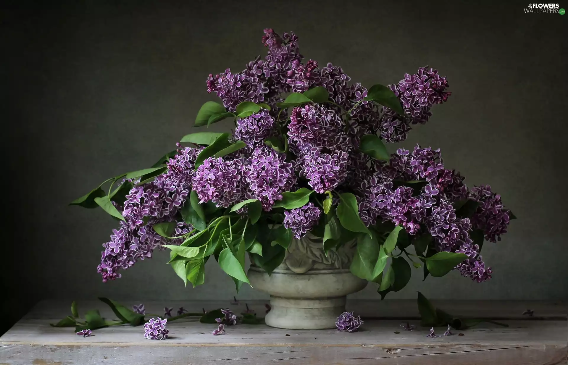 bouquet, without, Vase, Violet