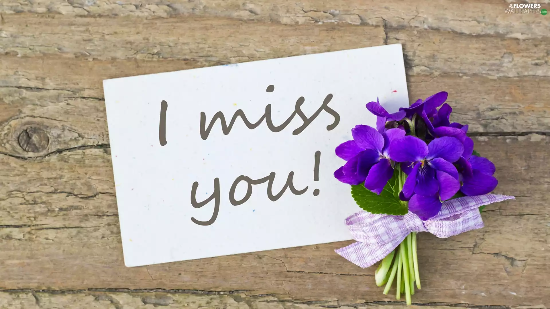 Violets, Flowers, bouquet