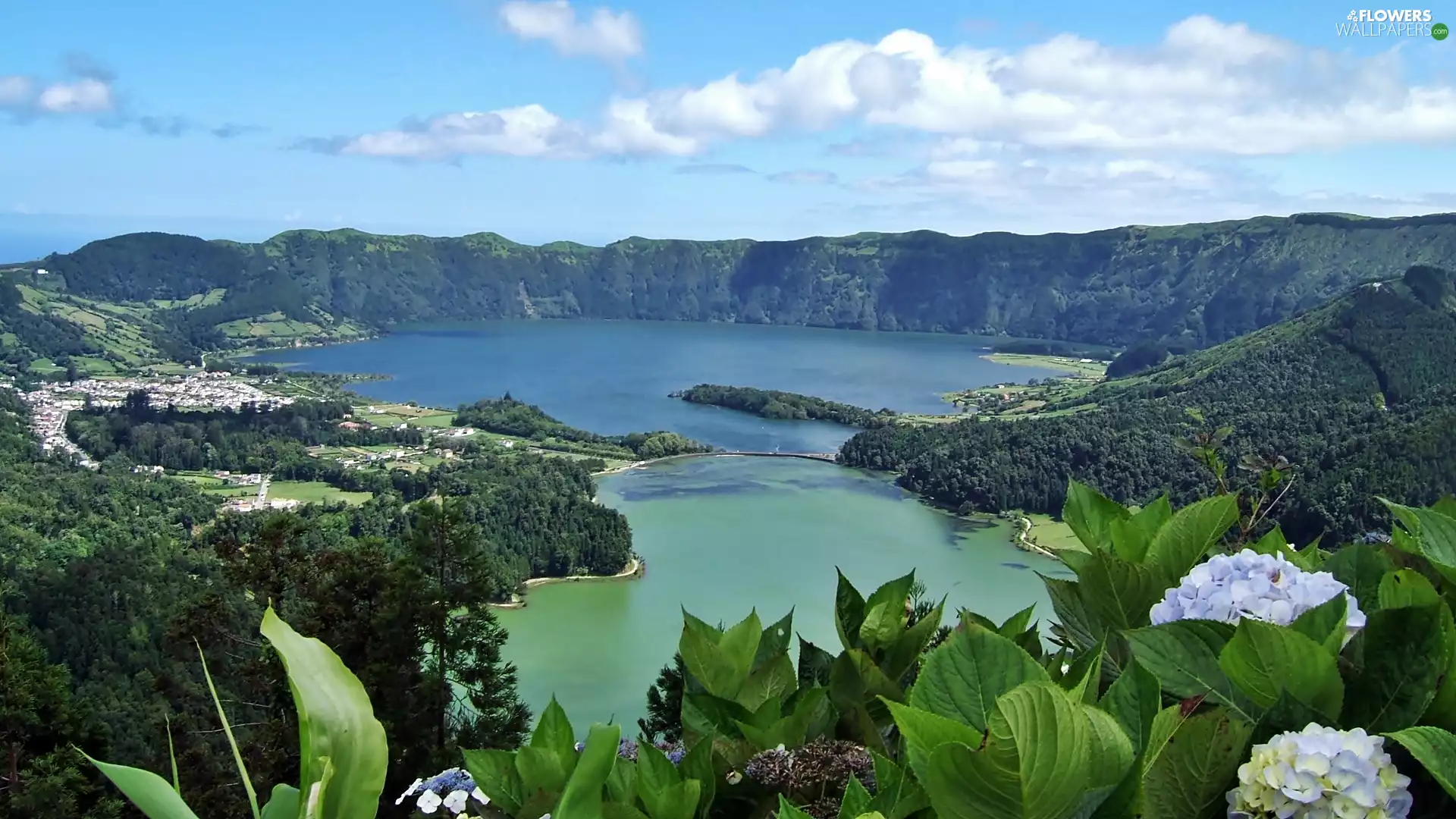 lake, crater, town, volcano, Azores, woods, hydrangeas
