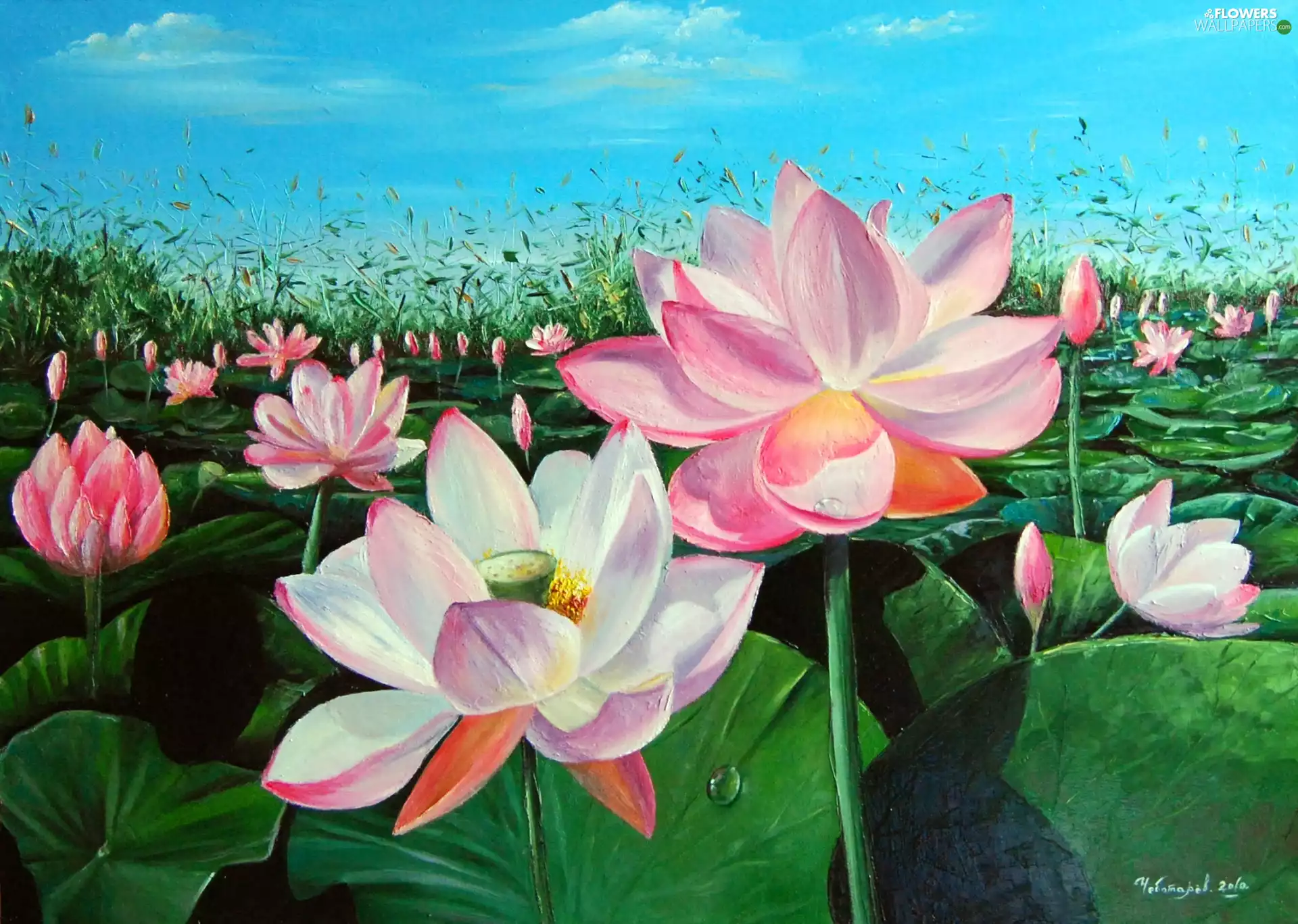 lotus