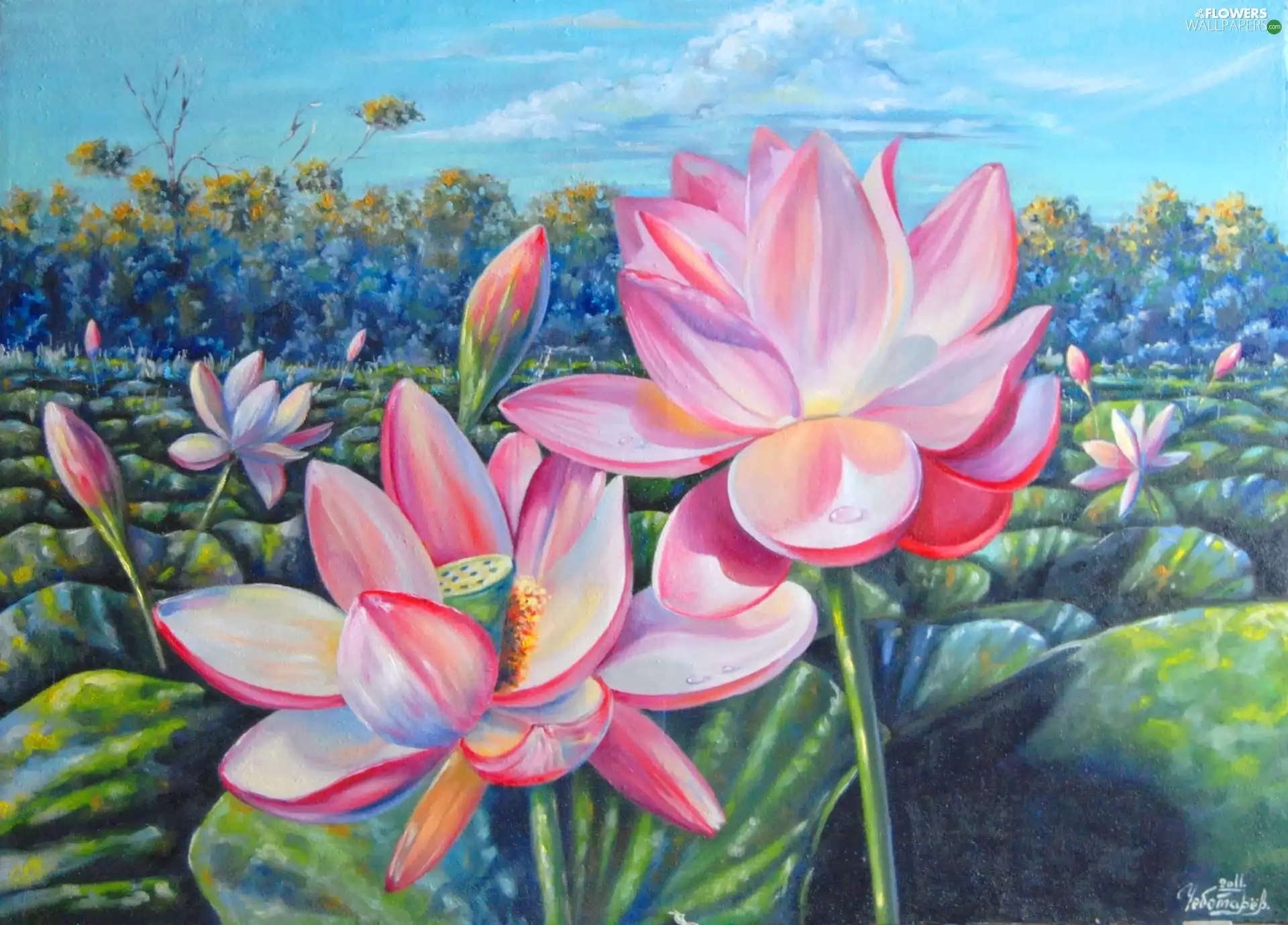Lotus Flower