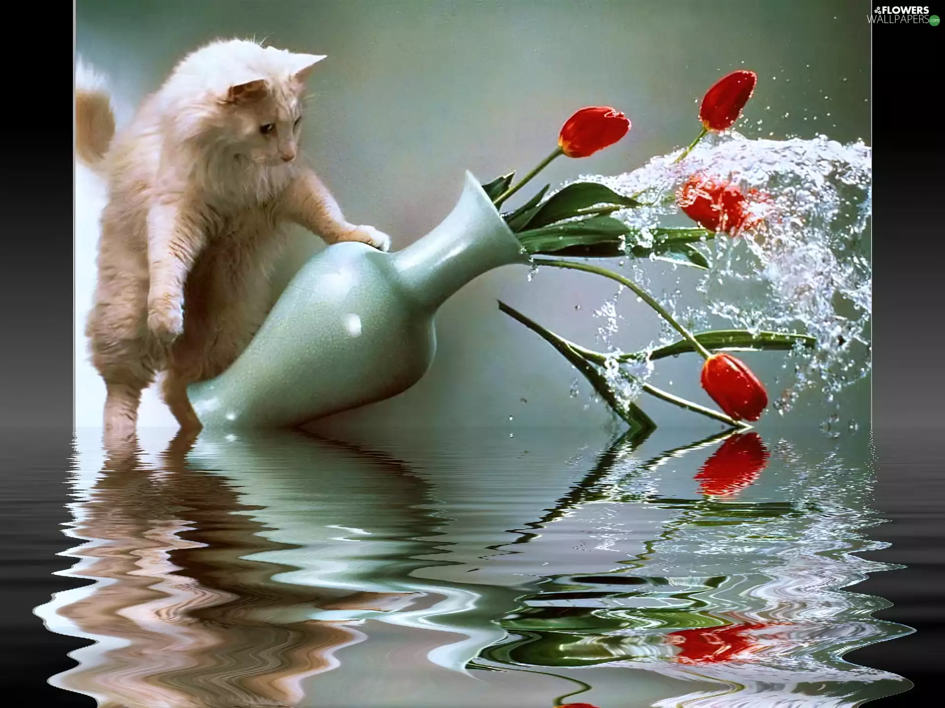 Tulips, water, Menace, Vase, cat