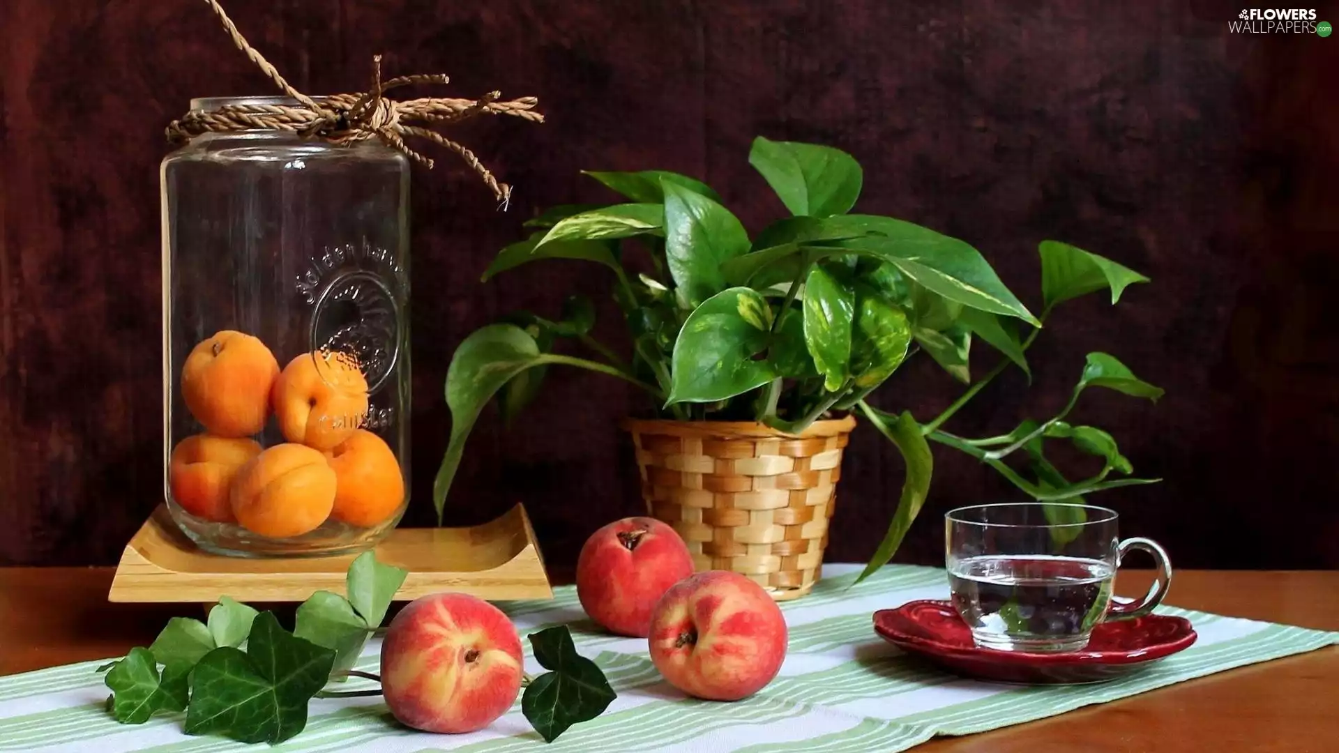 ivy, apricots, cup, water, Philodendron, peaches