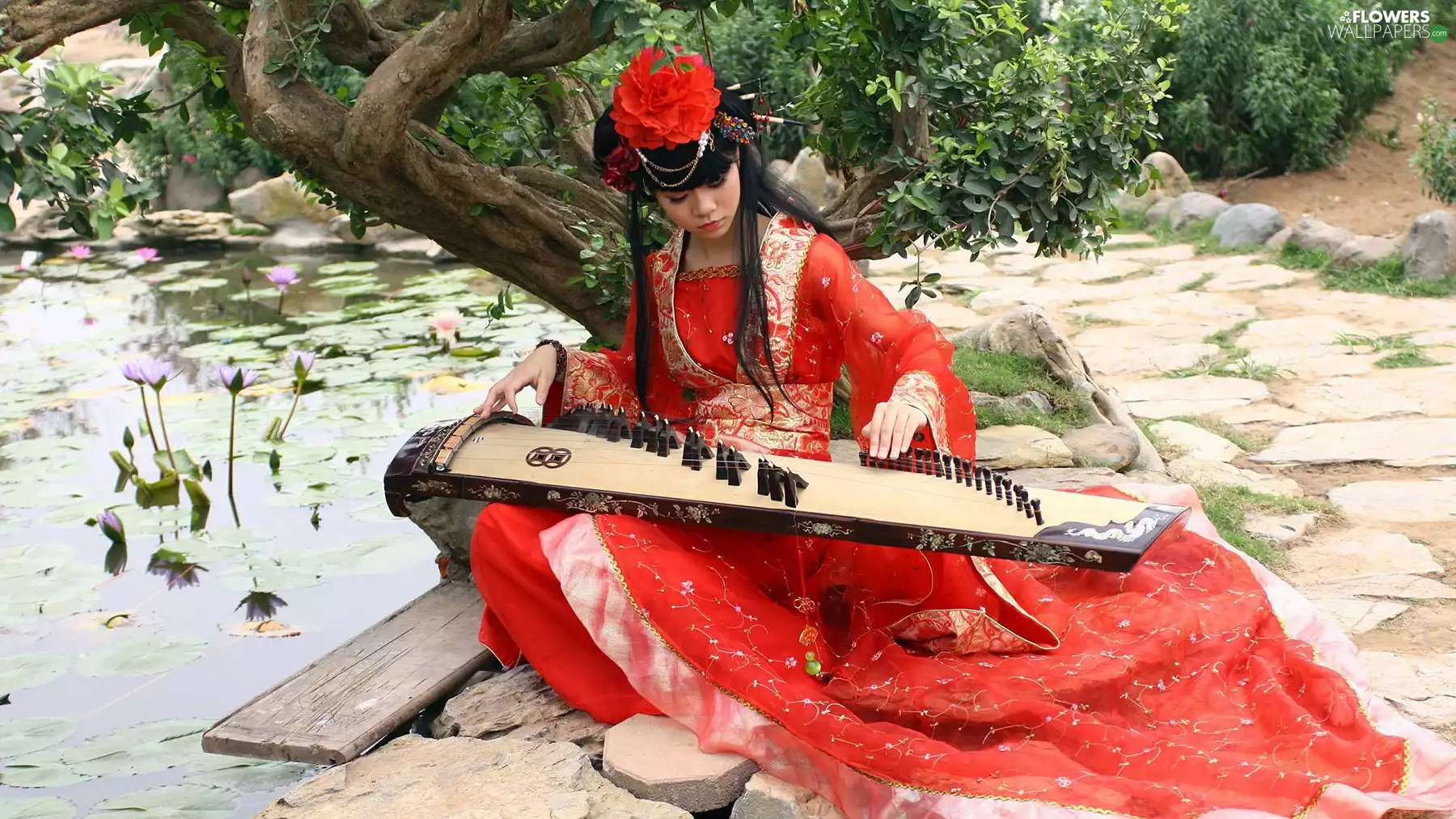 lilies, water, Singing, instrument, girl