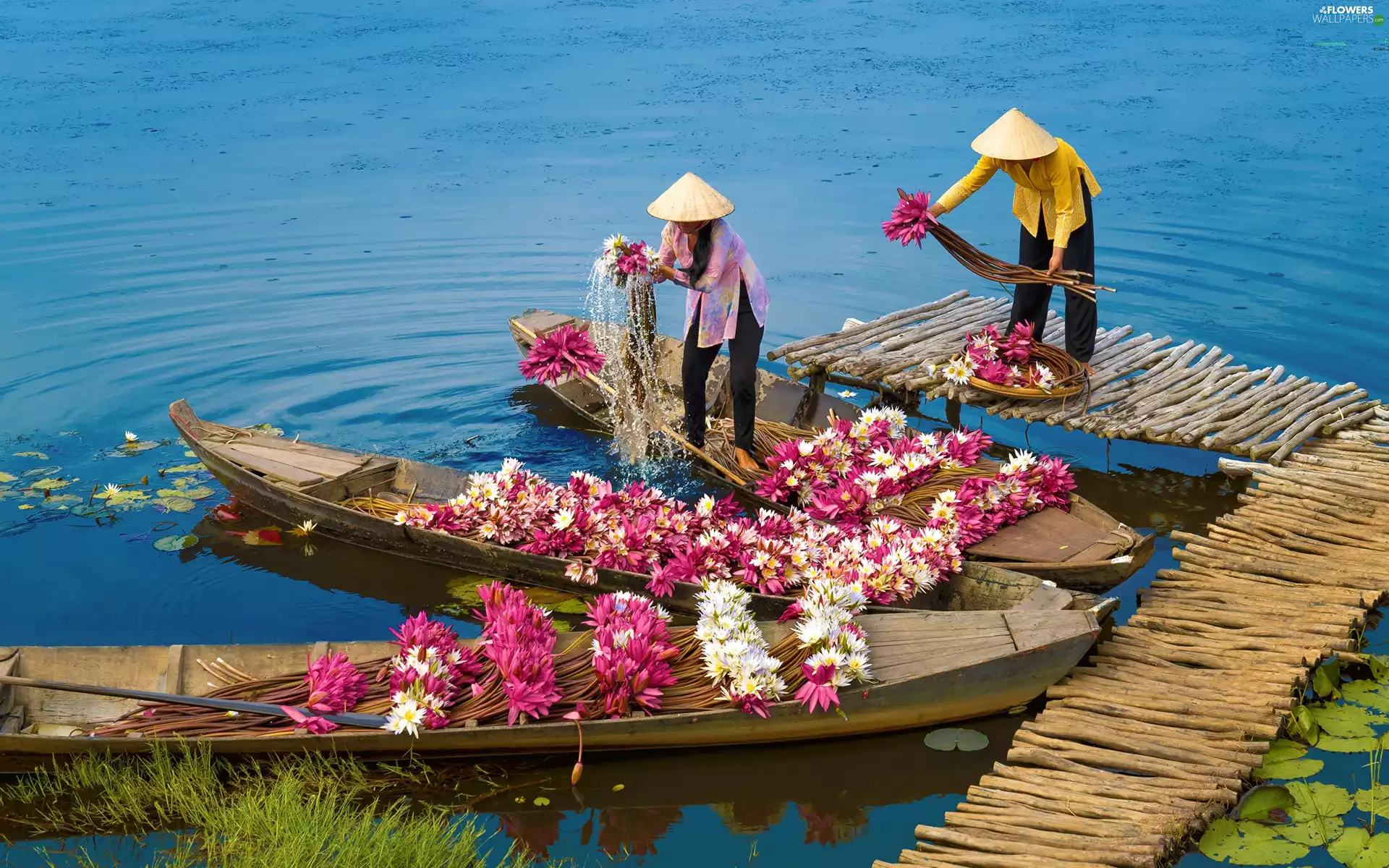 boats, River, Asian, Water lilies, Womens