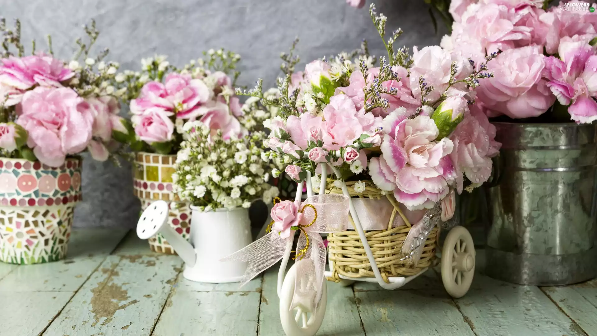 watering can, Clove Pink, boarding, Bicycle, Flowers, Pots, composition