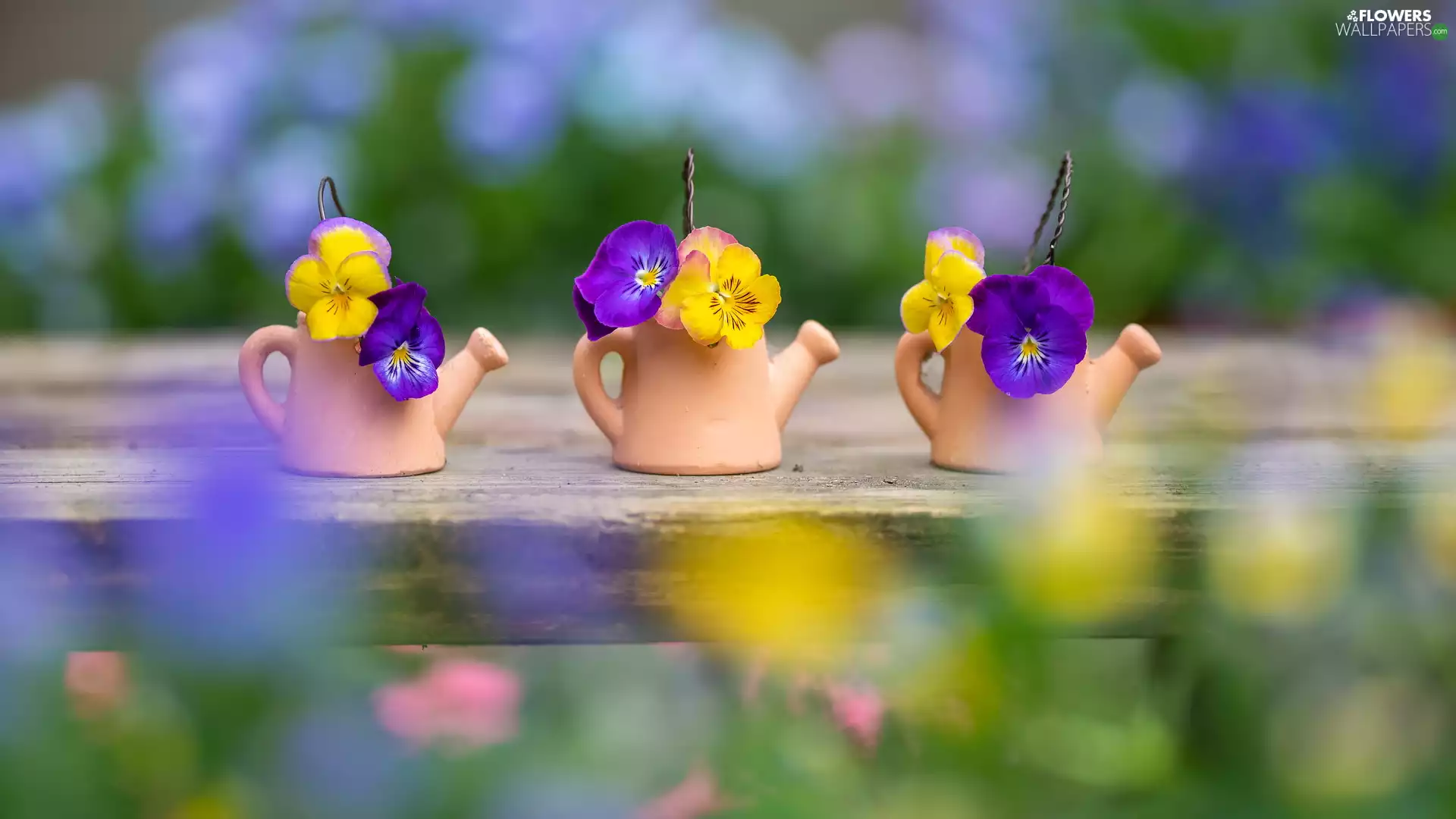 Flowers, pansies, clay, Watering Cans, Three