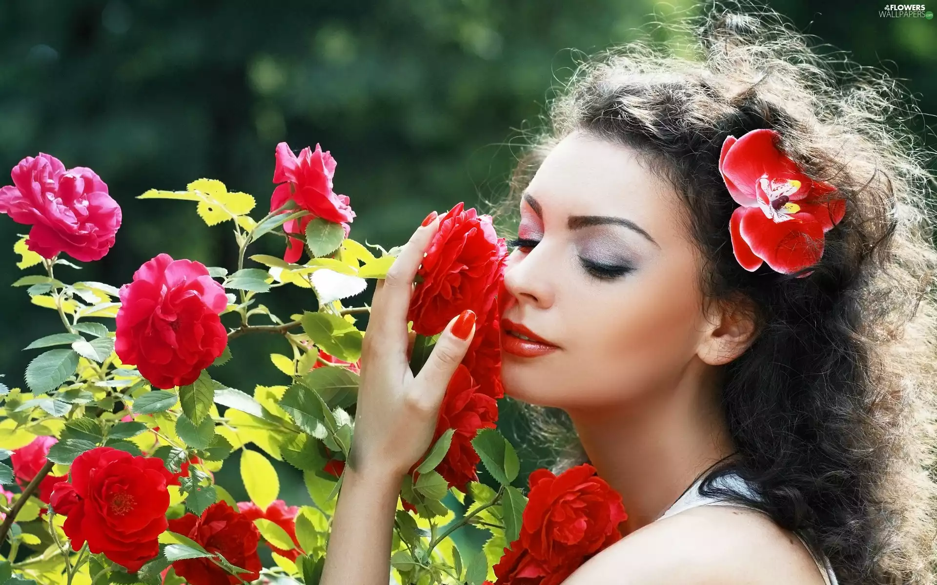 We, hair, Park, make-up, rose, Colourfull Flowers, Women, Bush