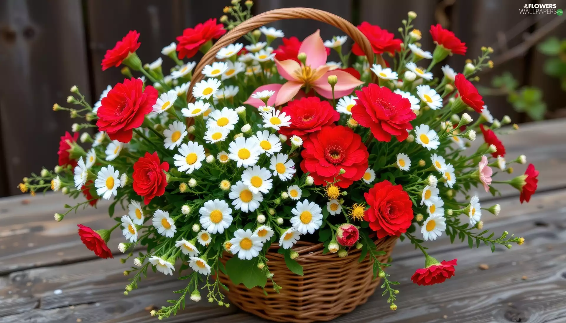 Flowers, Red, basket, White, bouquet, wicker, boarding