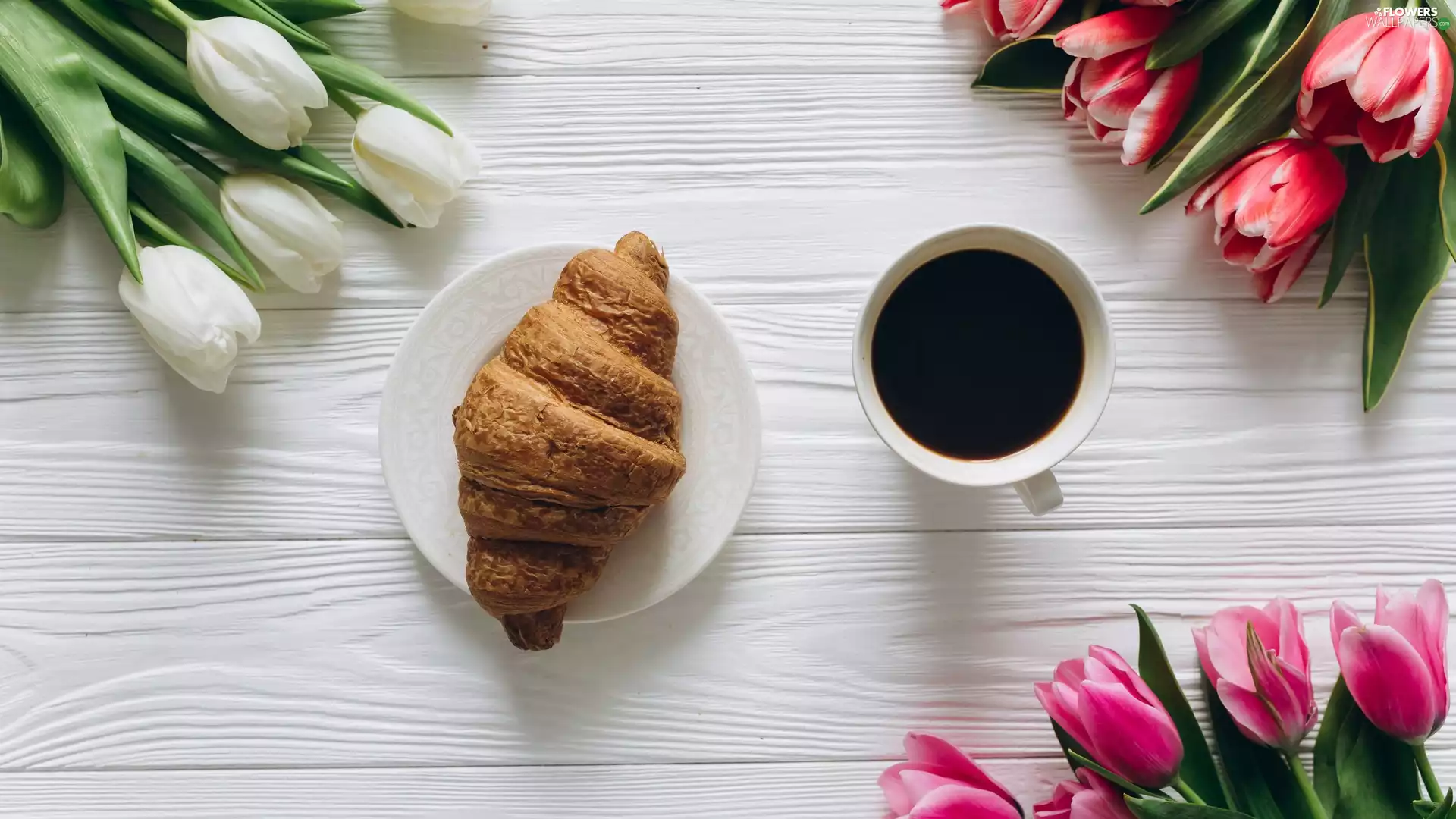 coffee, Pink, boarding, Red, Tulips, Croissant, croissant, White