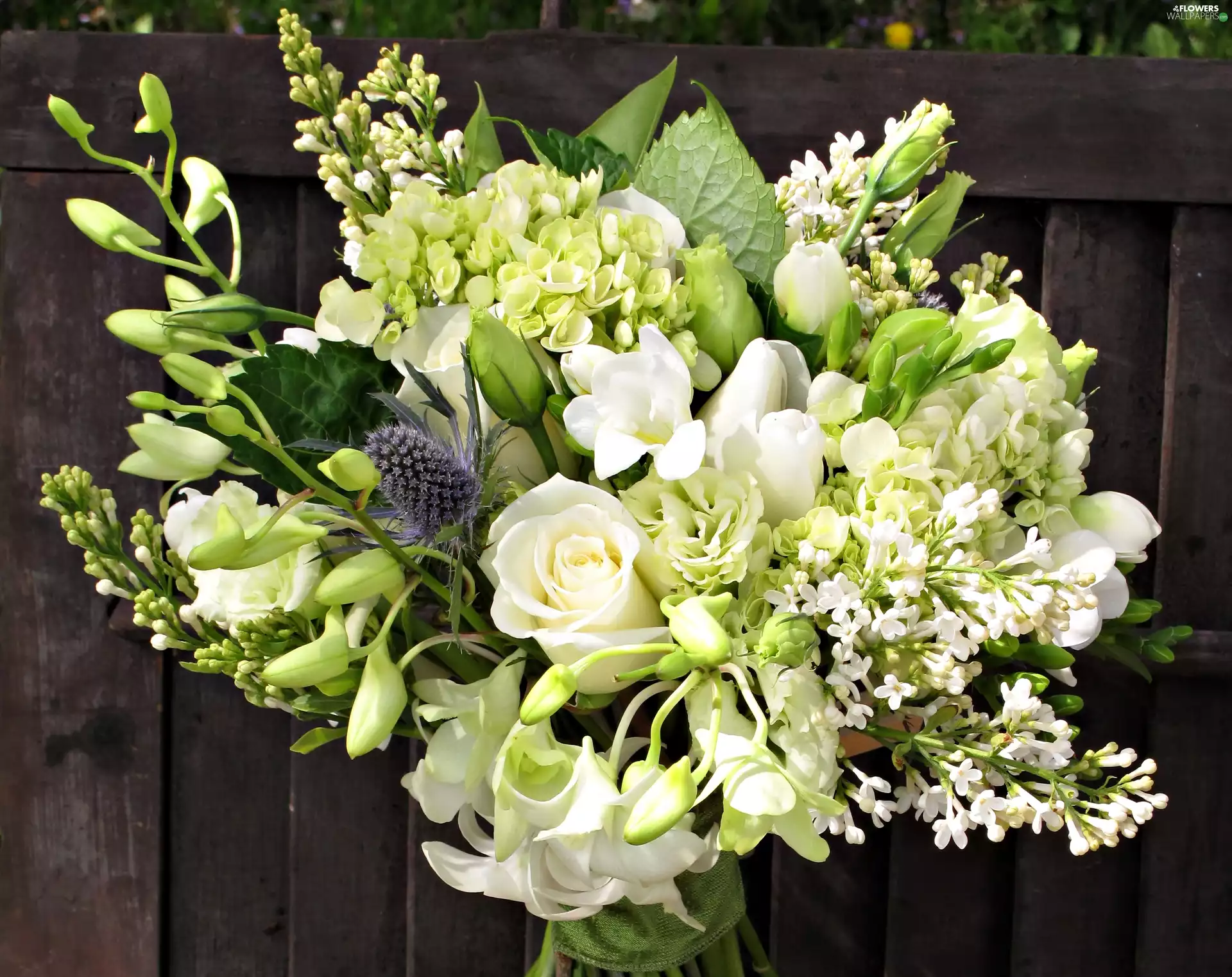bouquet, roses, Freesias, White