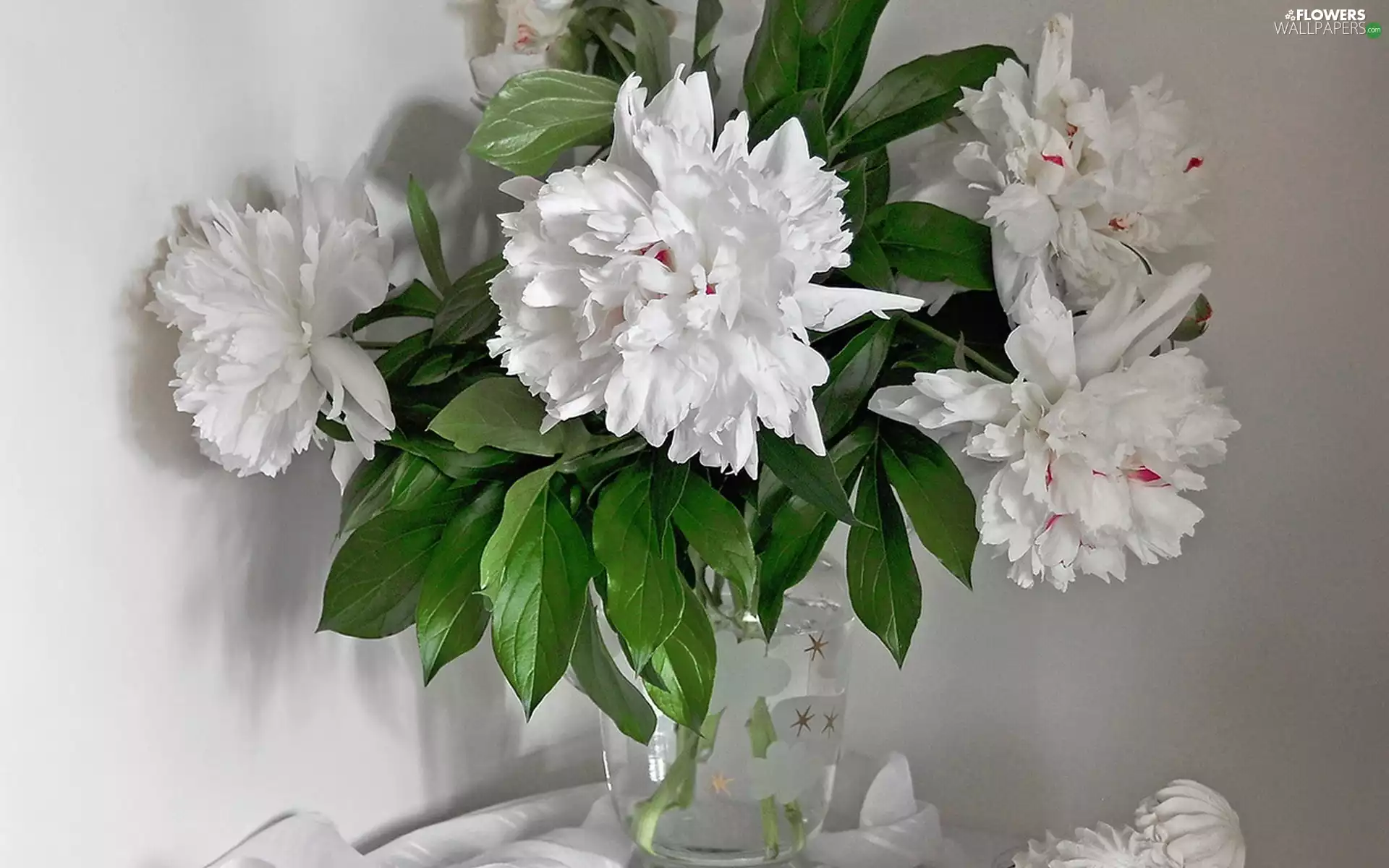 bouquet, Peonies, Vase, White