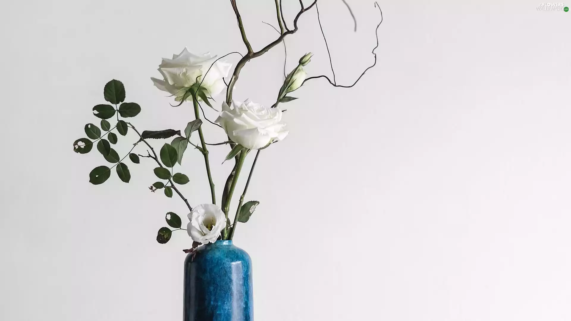 bouquet, roses, Vase, White
