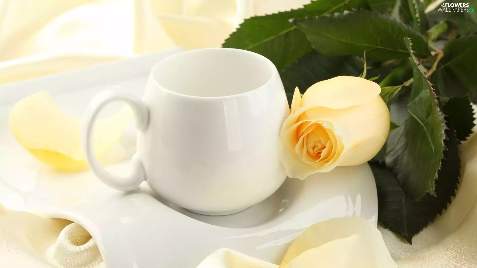 cup, plate, rose, White, Yellow Honda