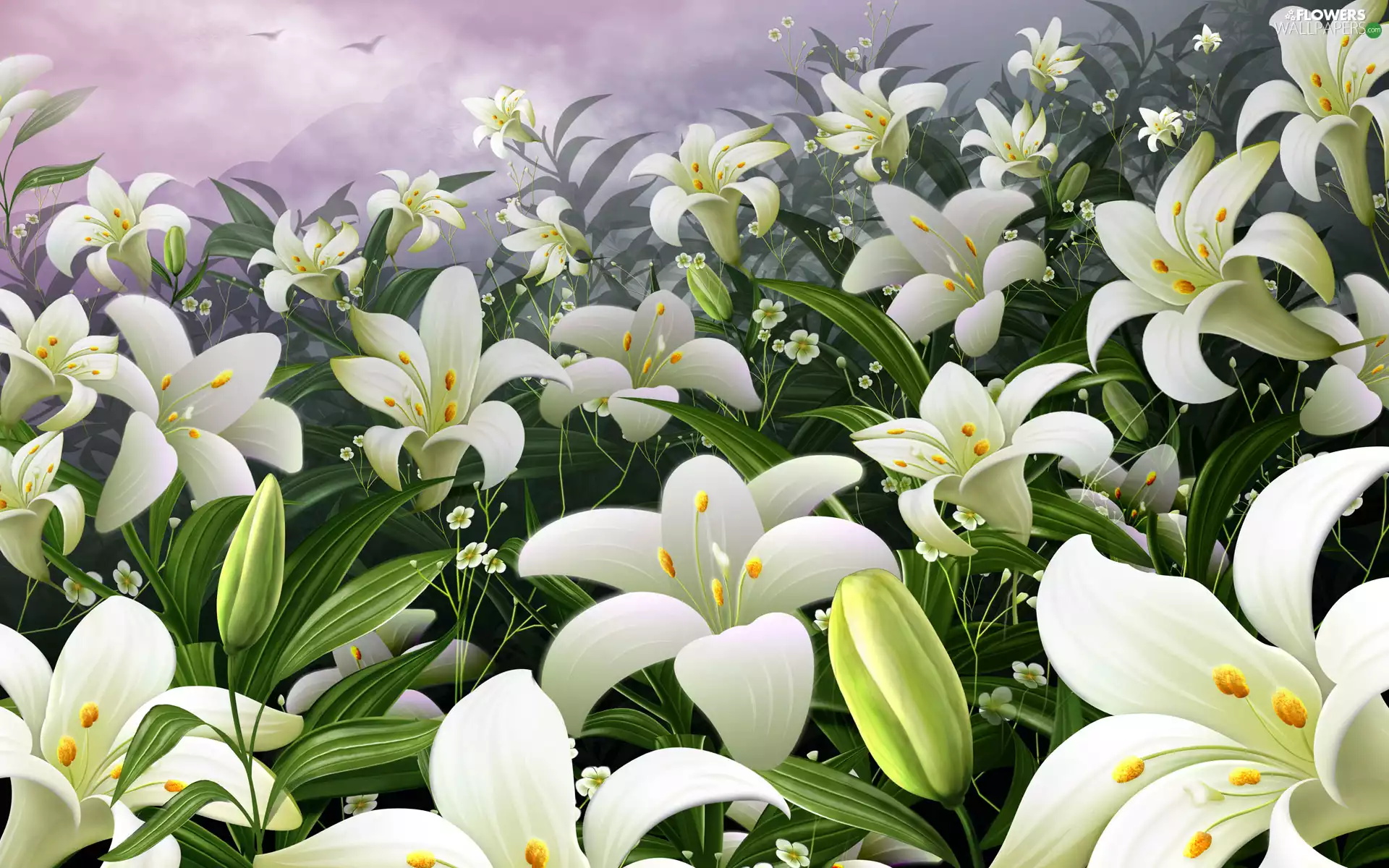 White, lilies