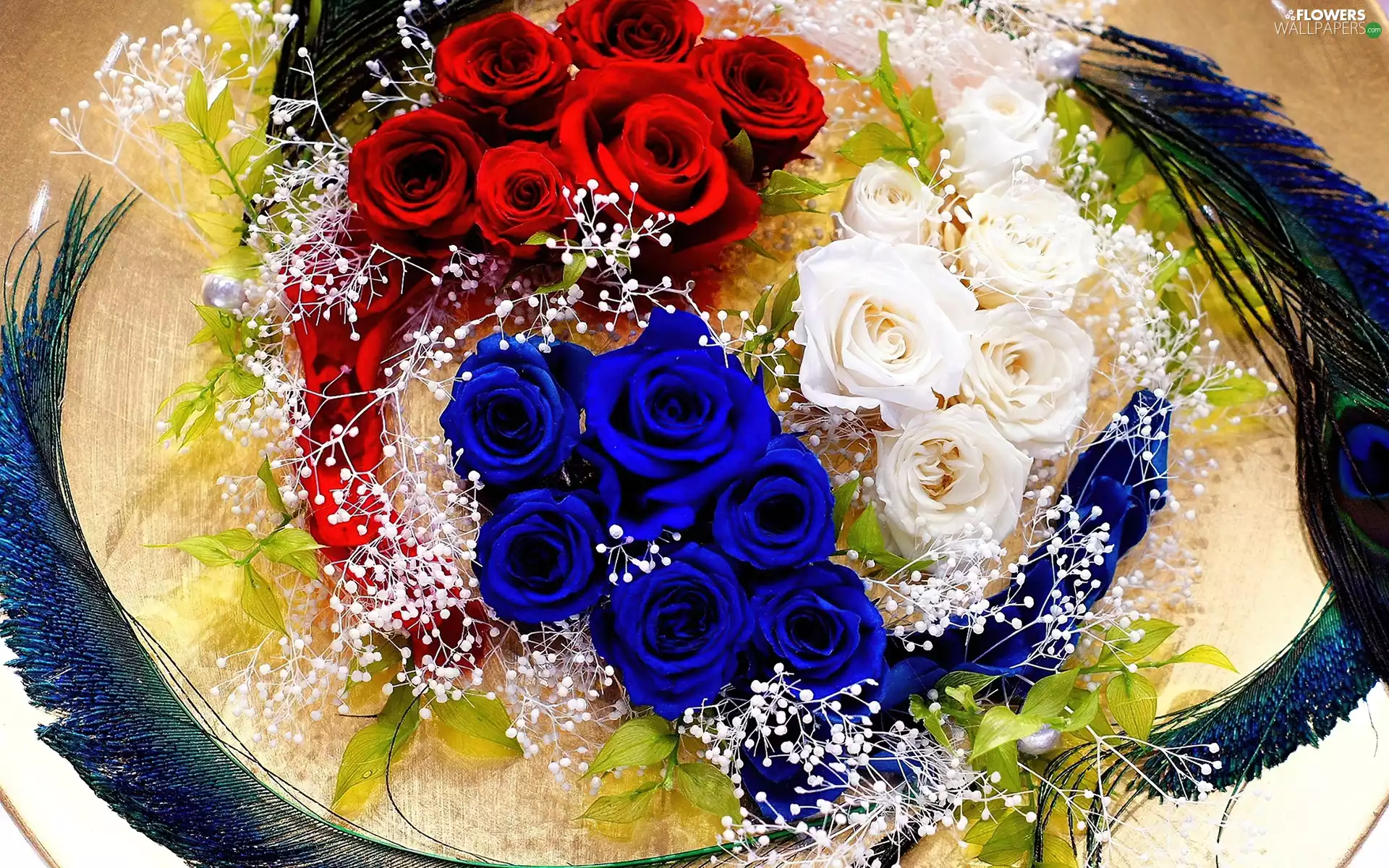 Blue, White, roses, Red, Flowers