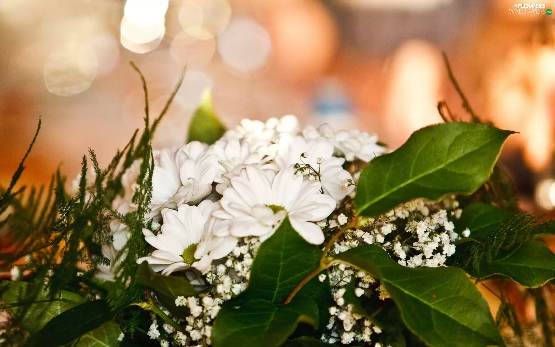 flowers, small bunch, white