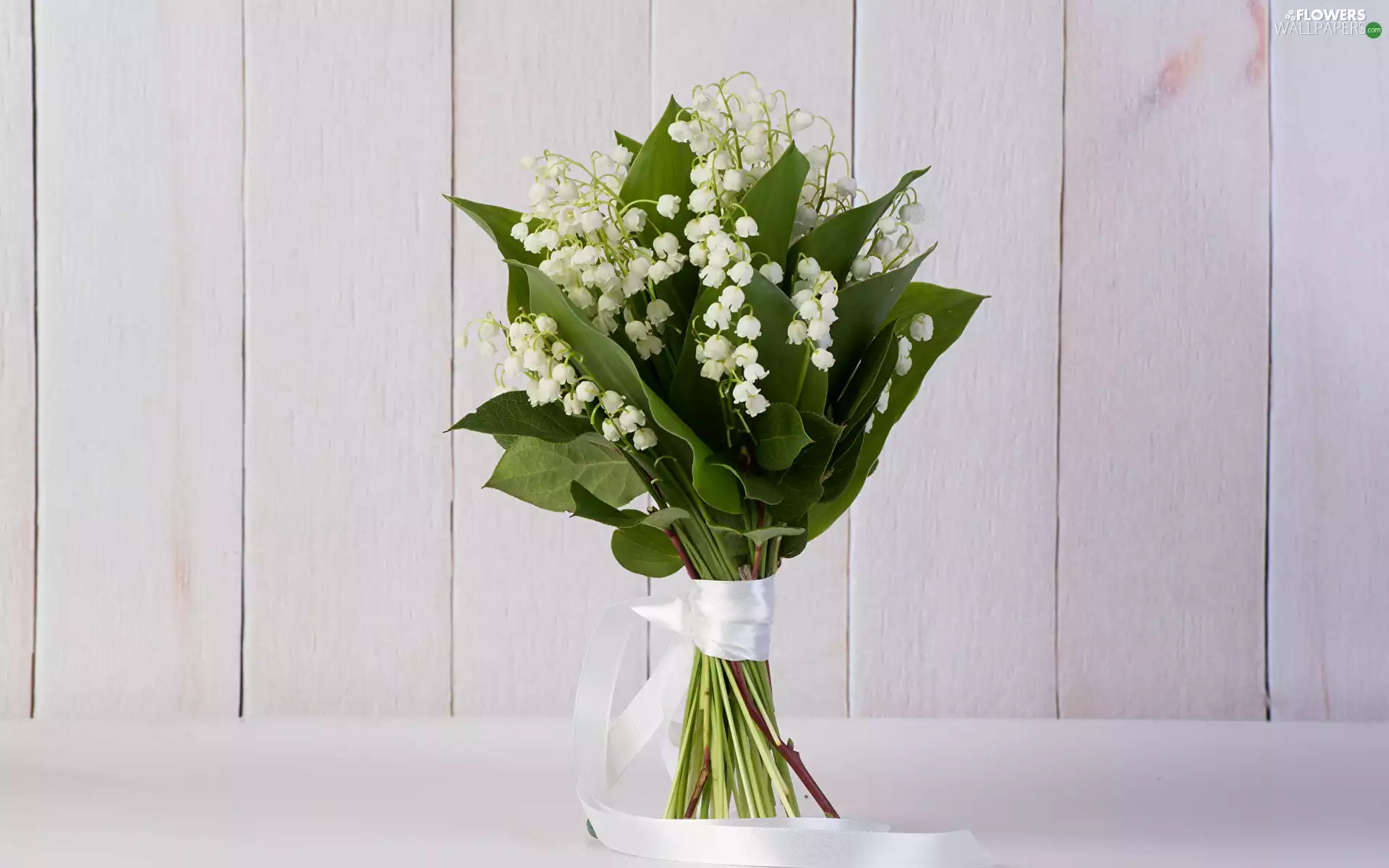 White Ribbon, boarding, Lily of the Valley, bouquet, Flowers