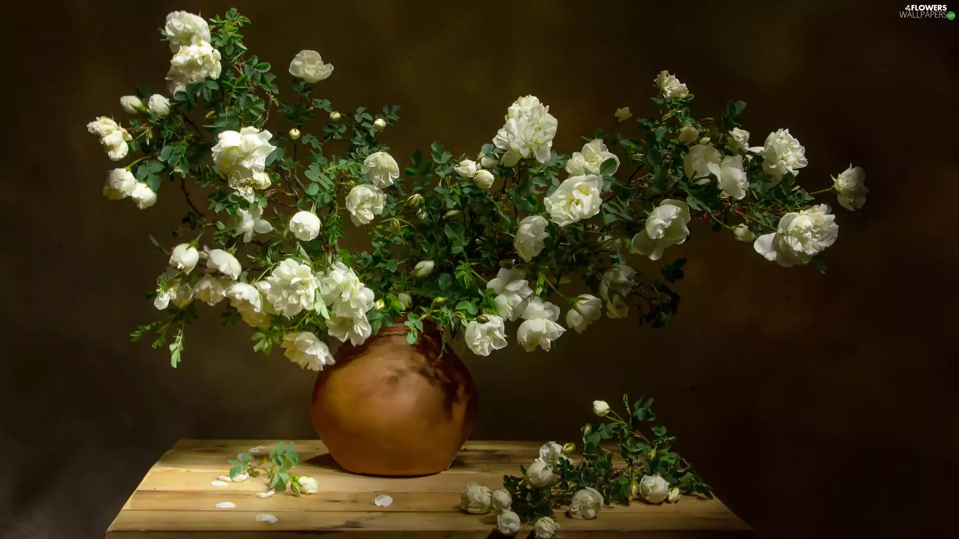 Vase, roses, table, White