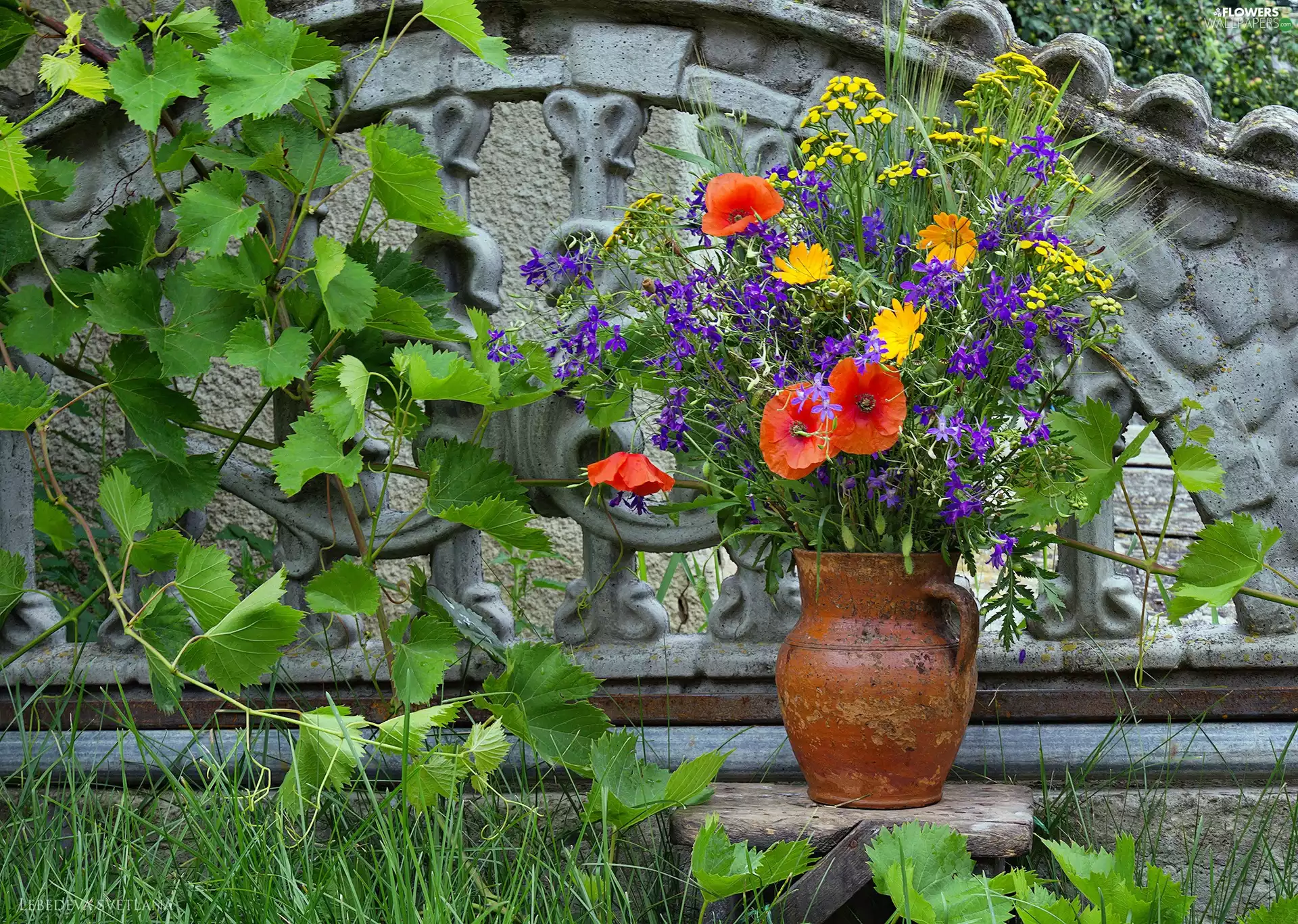 bouquet, flowers, Garden, wild