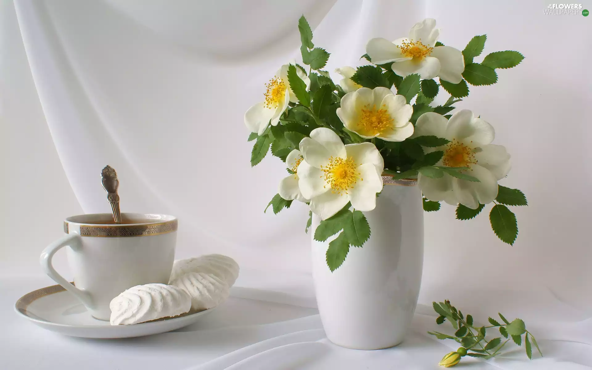 Wild, White, composition, Bouquet of Flowers, rose, china